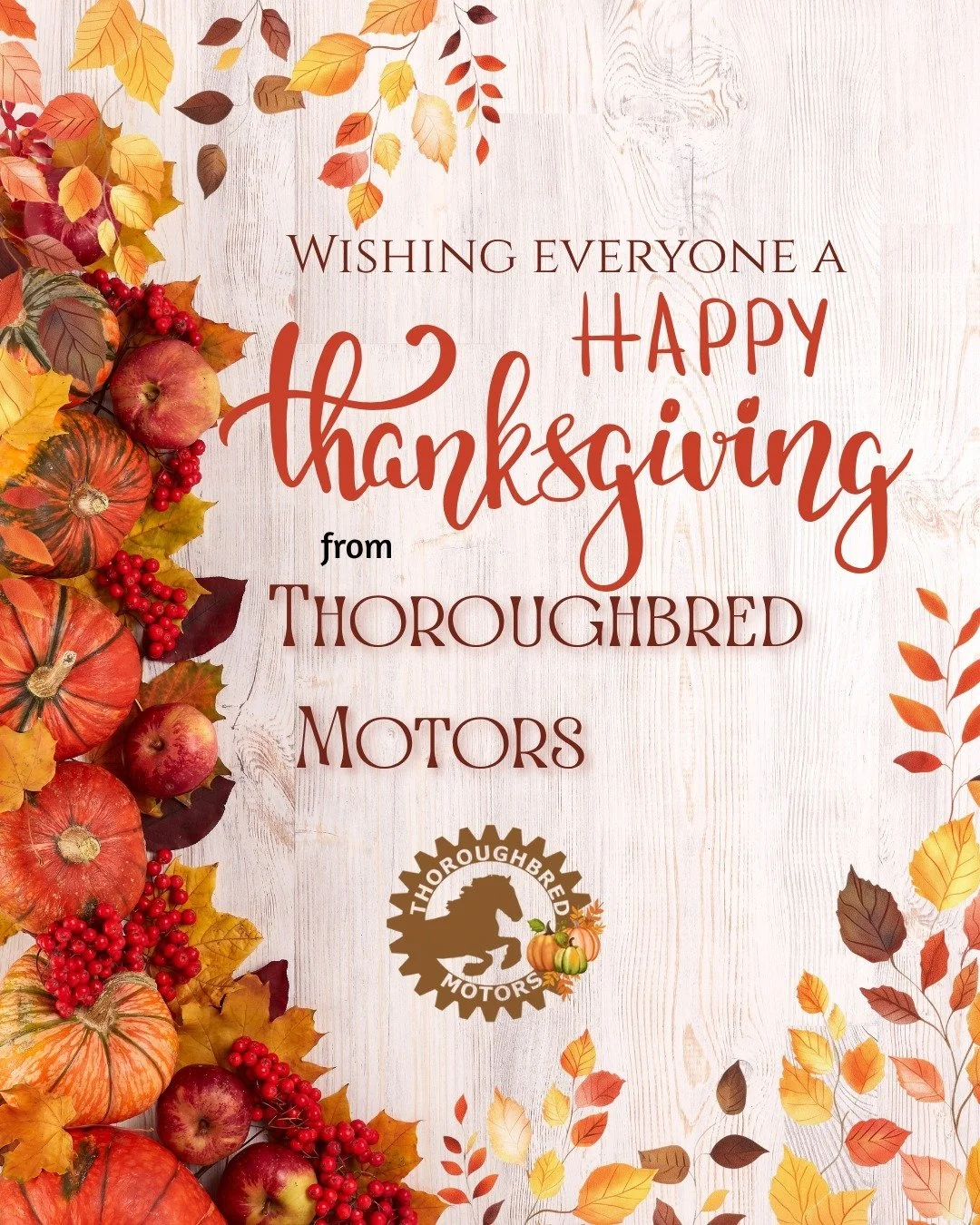 Happy Thanksgiving from all of us at Thoroughbred Motors!
We&rsquo;re so thankful for our customers, community, and the trust you place in us every day. ❤️

#Thanksgiving #holidayseason #thankful #gratitude #Thoroughbredmotors #Mechanic #Automotive