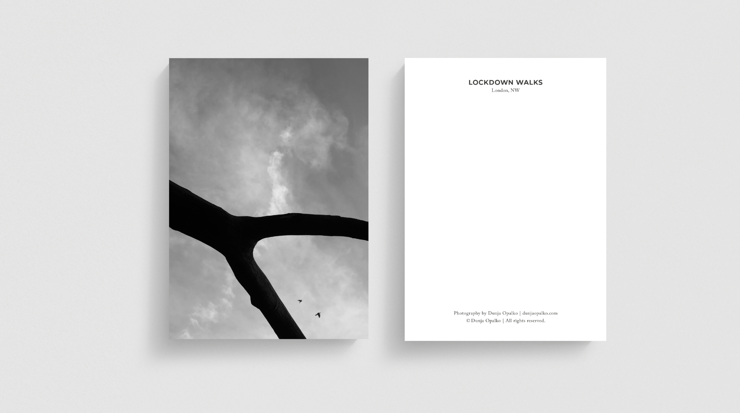 Front and Back.png