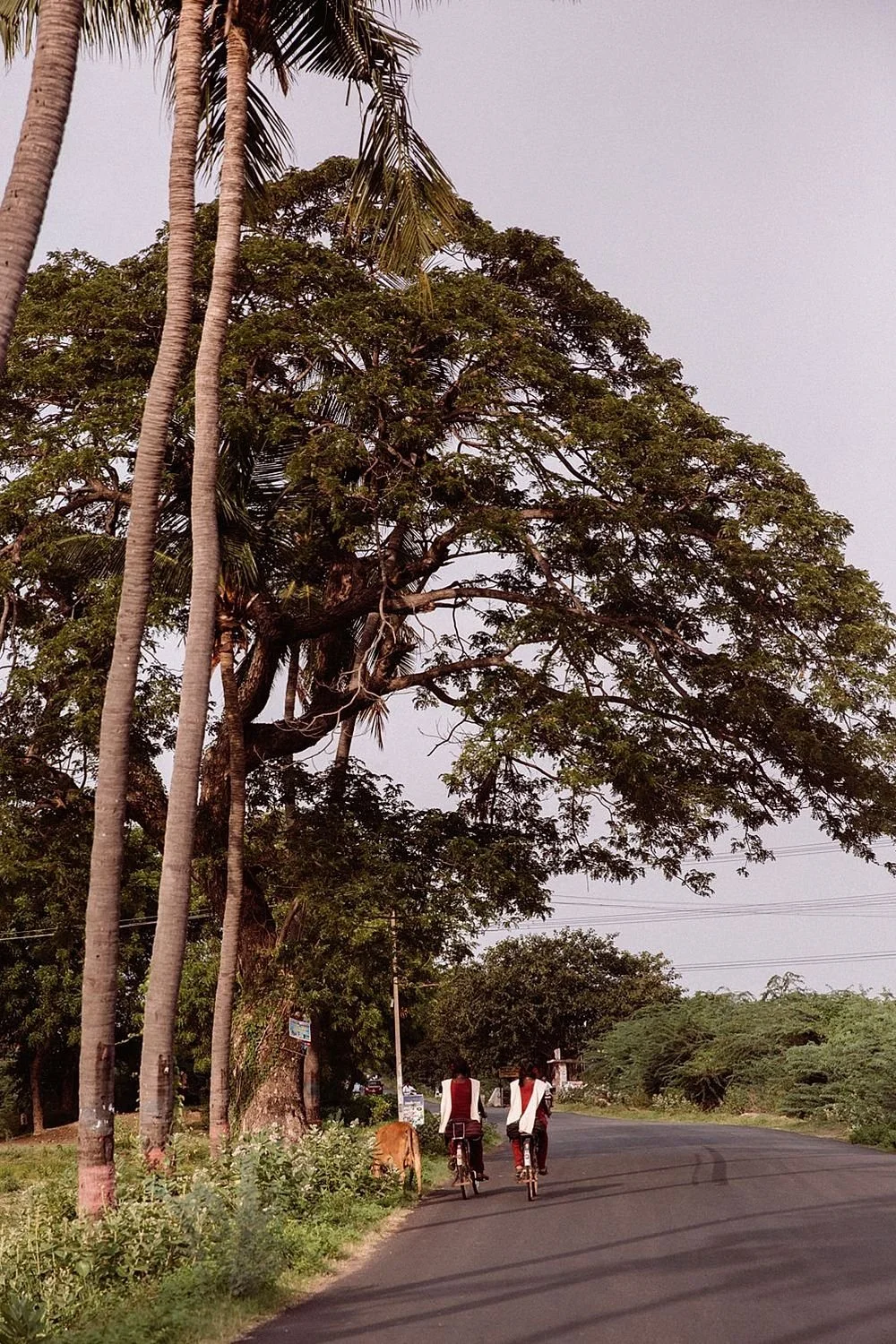 preview_c3a250a3_75609542.jpg