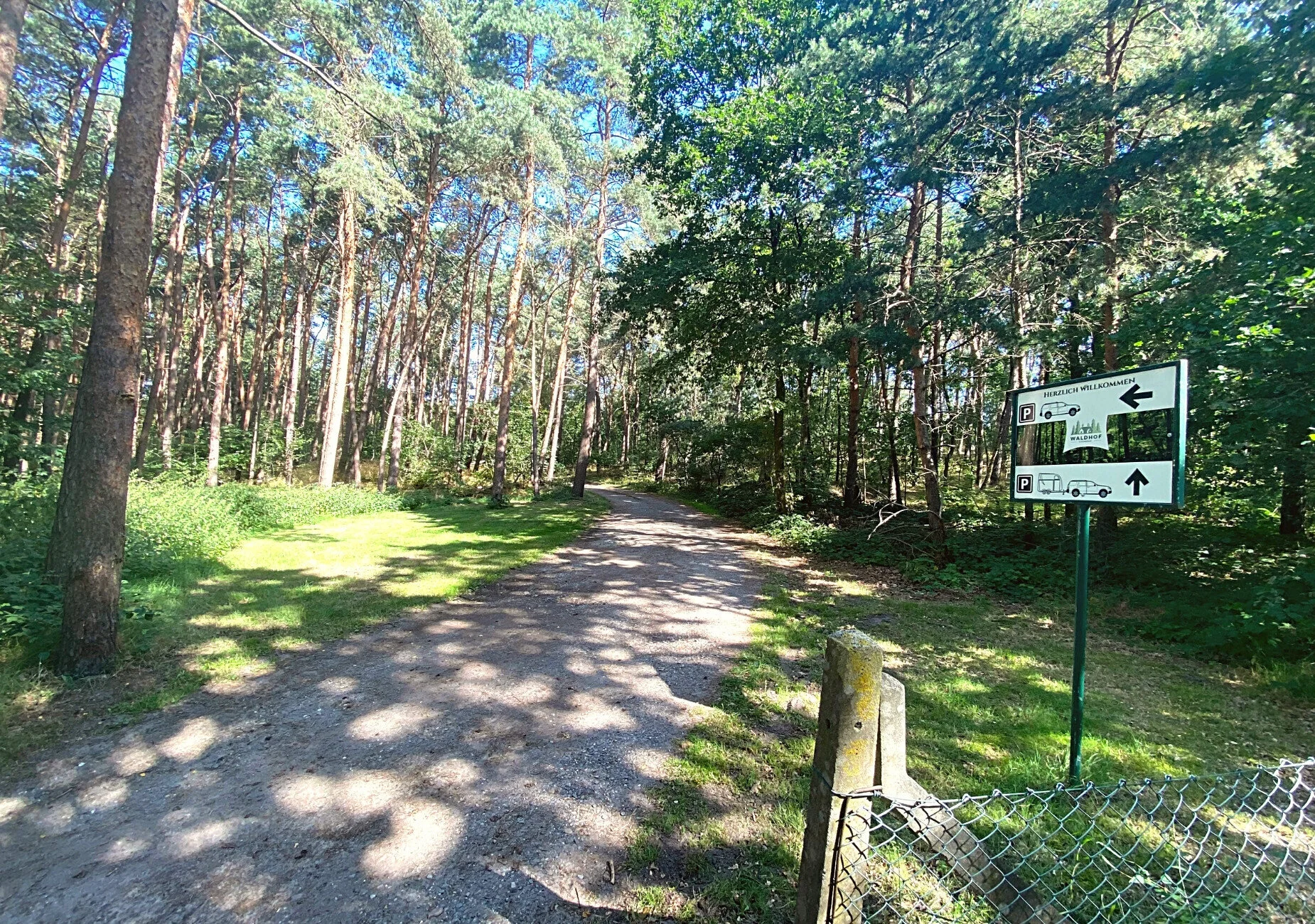 Kirchdorfer Heide 02.jpg