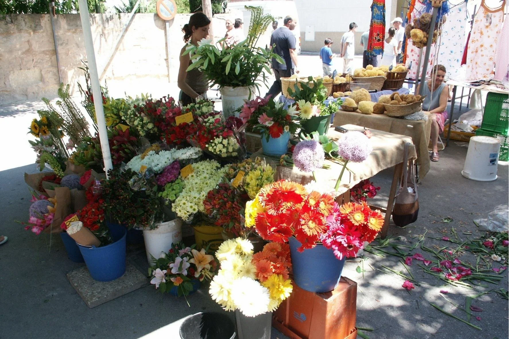 Santa Maria Markt 05.jpg