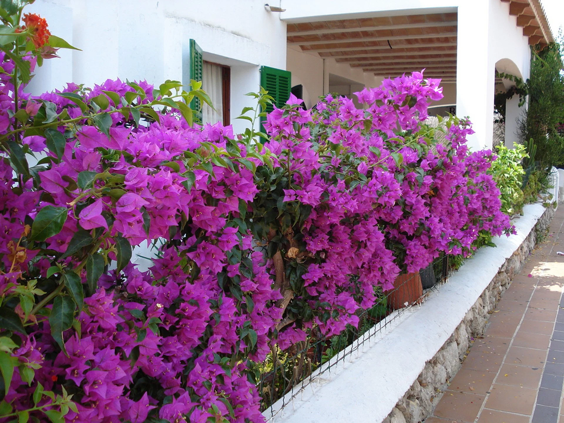 Mallorca 15. Woche
