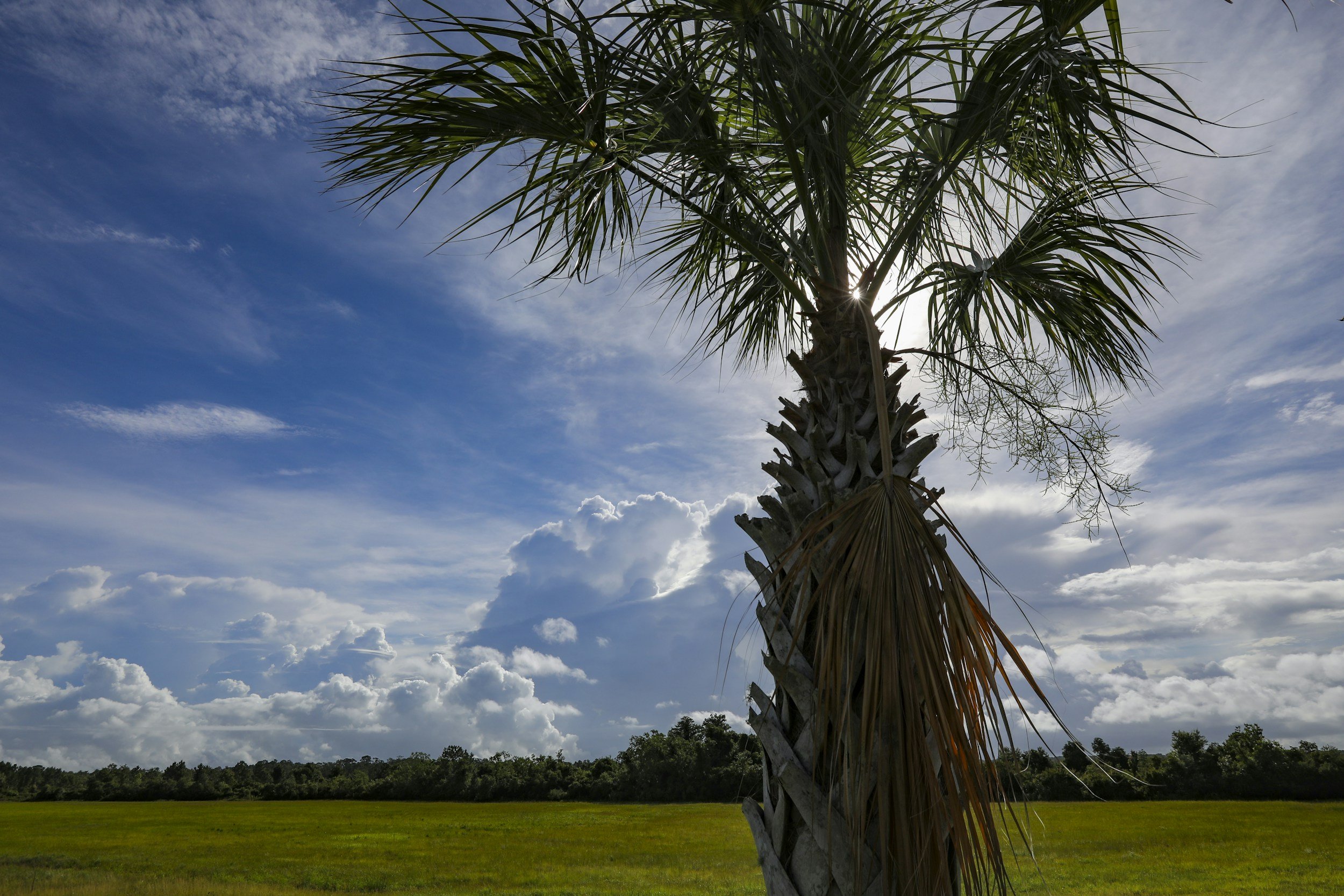 Hurricane Season and Your Florida Listing Photos