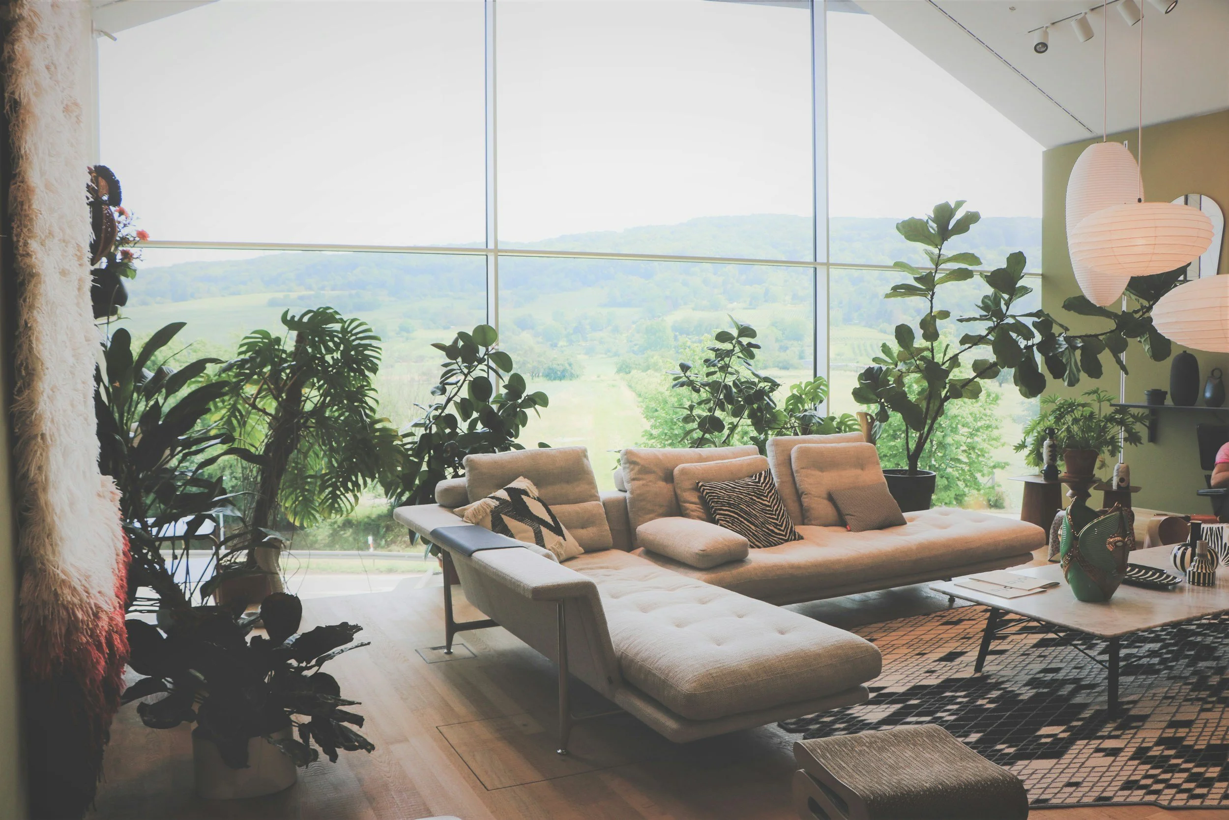 Blown-Out Windows: The Detail That Quietly Costs Florida Listings Showings