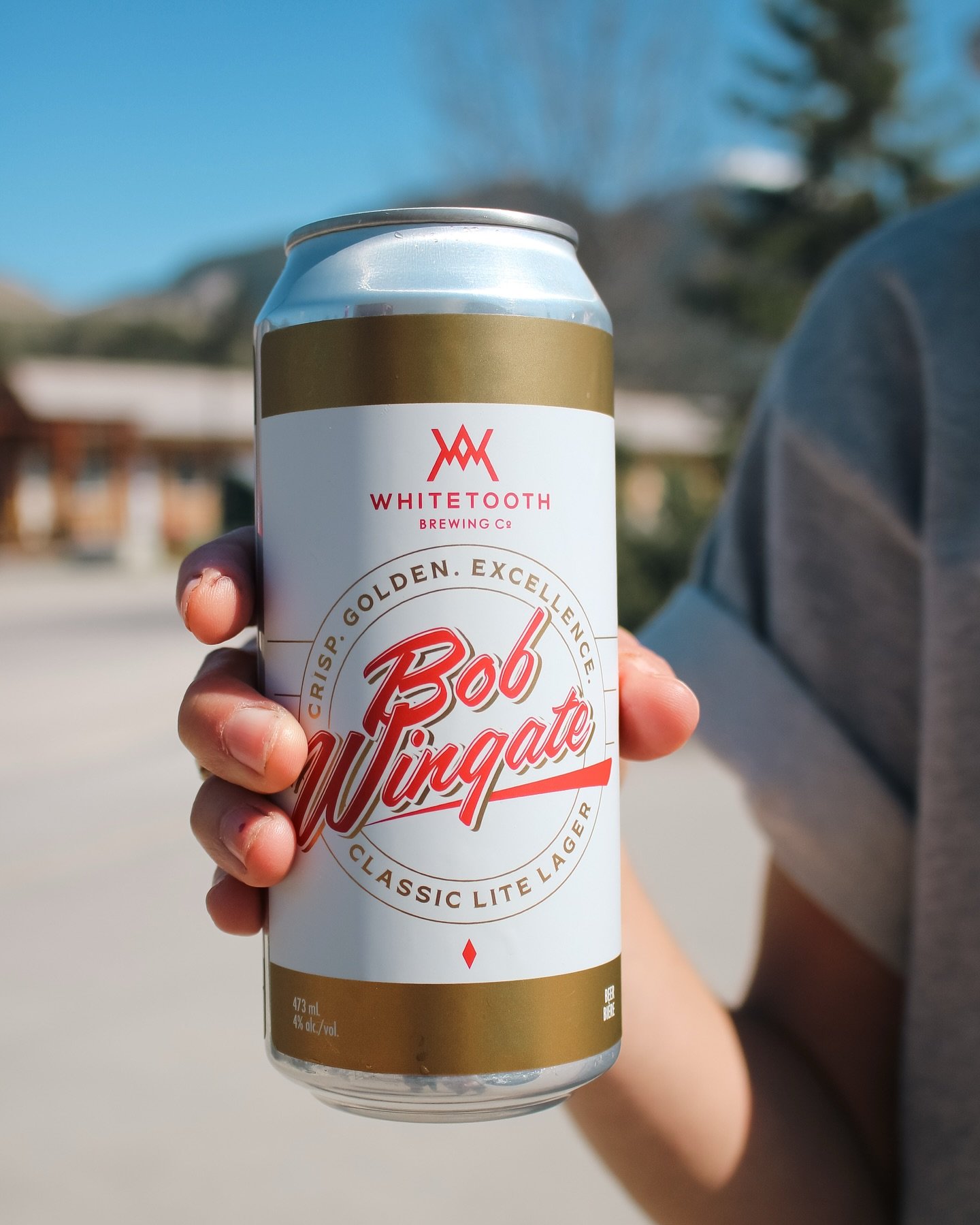Bob Wingate Classic Lite Lager 
4% ABV | 2.5 SRM 

Tribute to a lil&rsquo; Golden history 😉 Your new favourite light lager. Available on tap &amp; in tallboy 4-packs!

You can park here. 
#whitetoothbrew