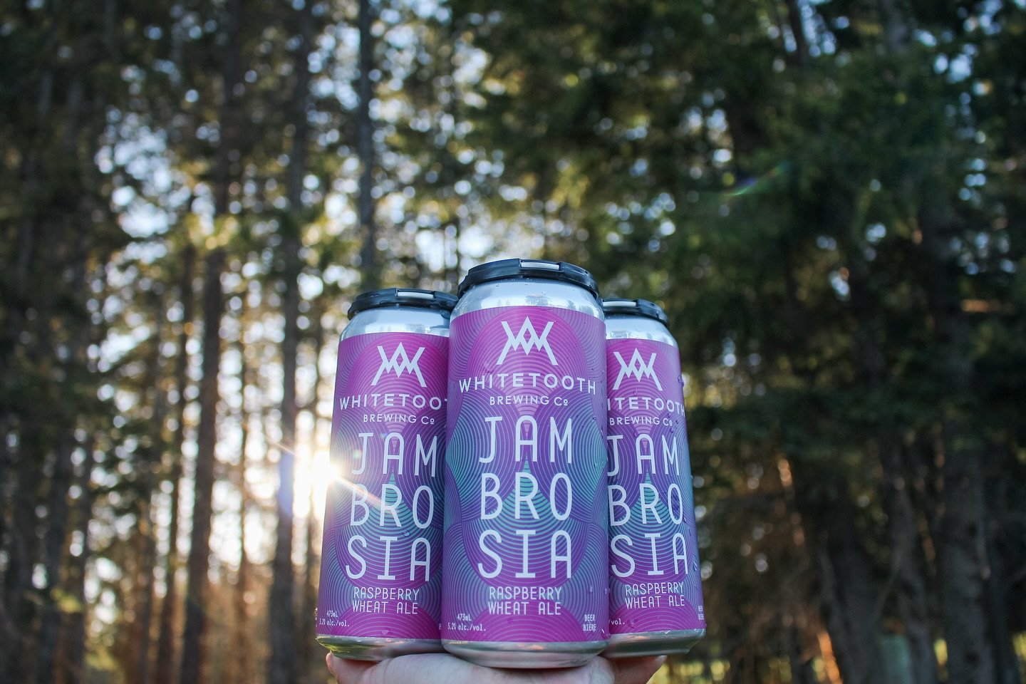 Jambrosia Raspberry Wheat Ale is ✨ back ✨ for the summer! 

Patio is open, lawn games are out, and Jam is pouring! Come hang with us 🏖️ 

#whitetoothbrew