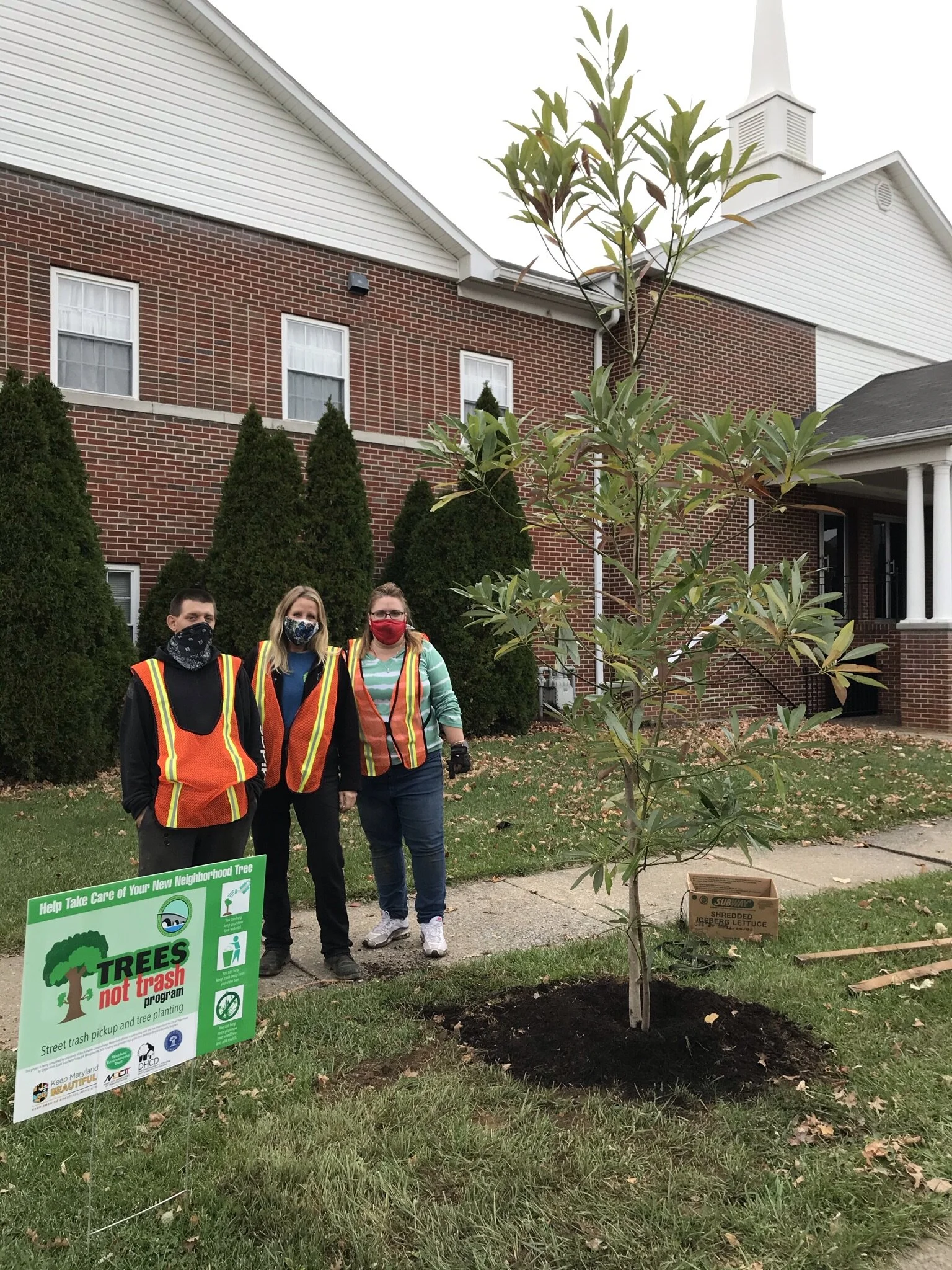 Volunteer plant street trees in Hagerstown