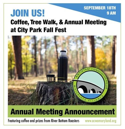 Member Meeting in City Park