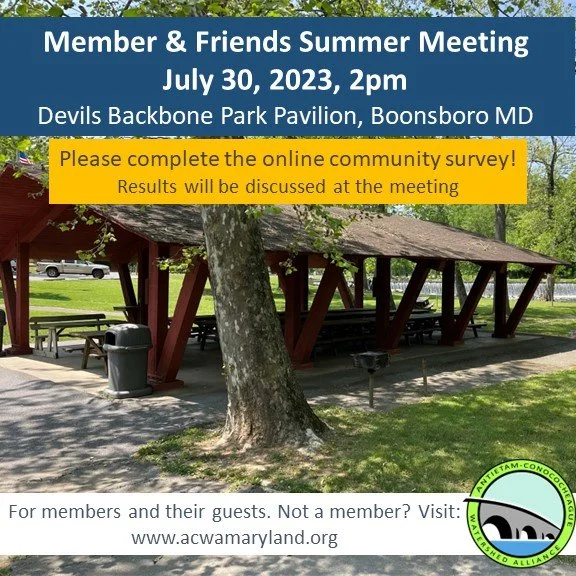 Member and Friends Summer Meeting