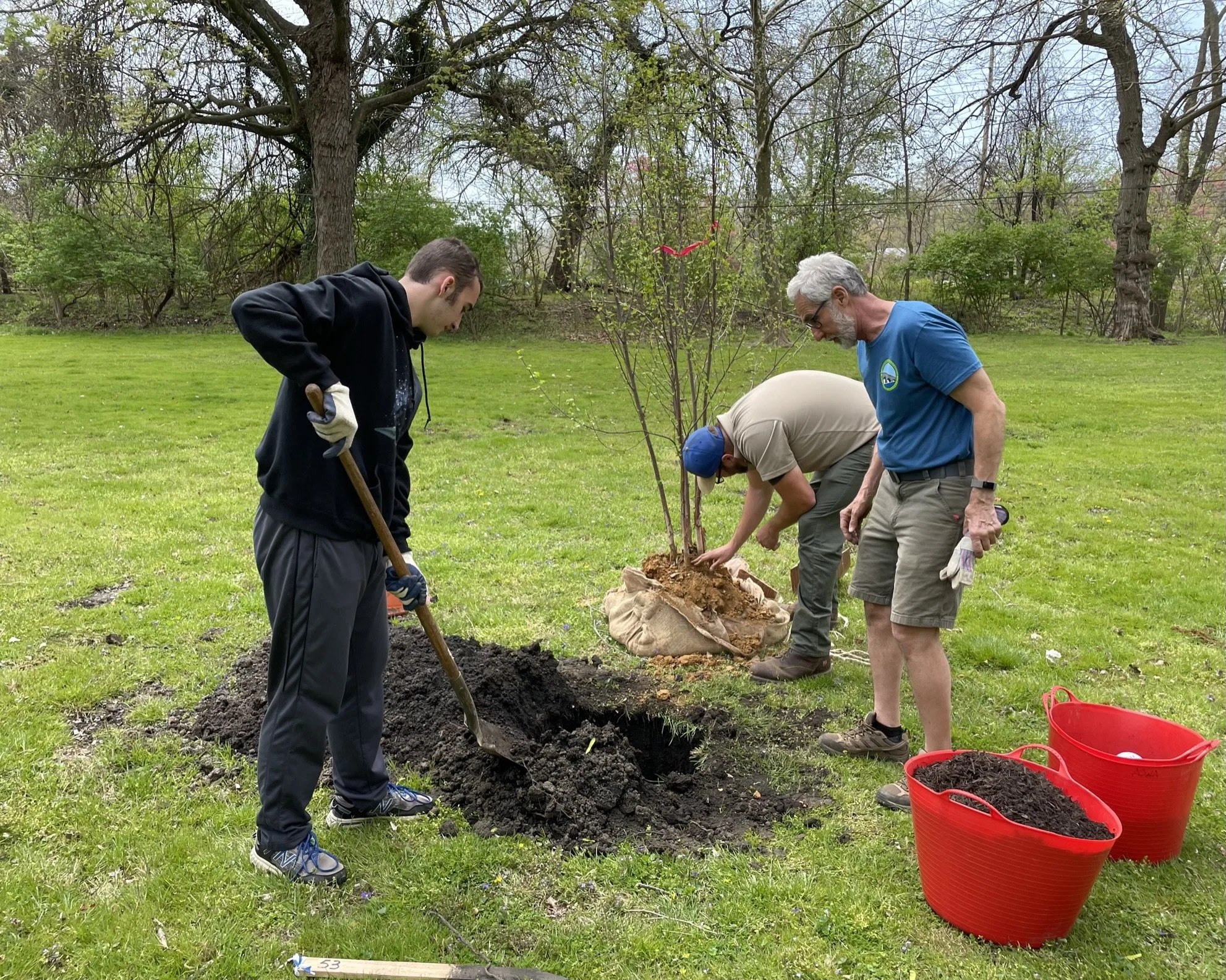 Hancock Tree Planting (NEW DATE)