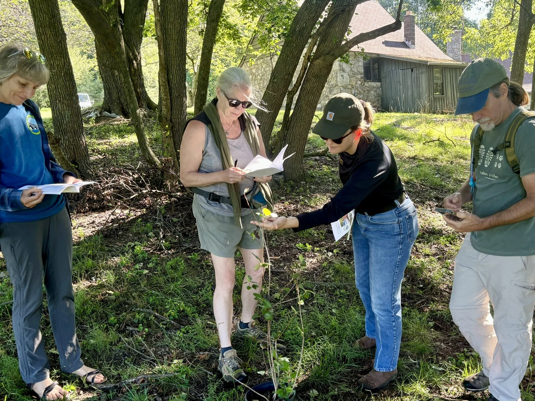 Plant I.D. for Priority Seed Collection Workshop #2