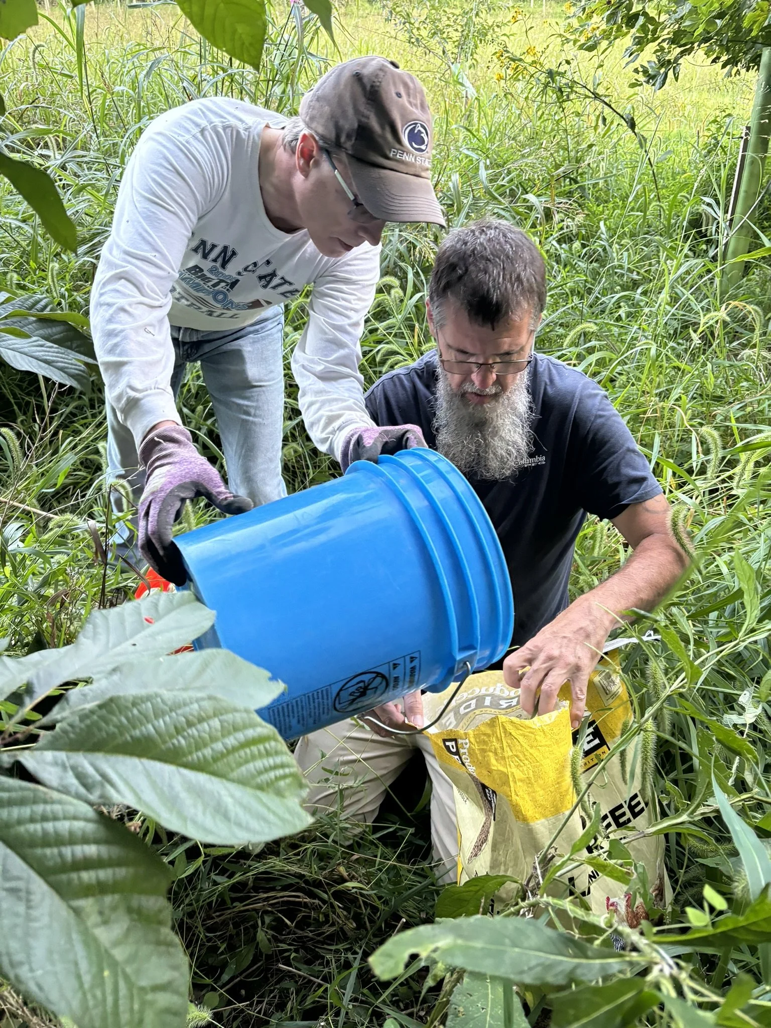 PawPaw and Spicebush Group Collection Events