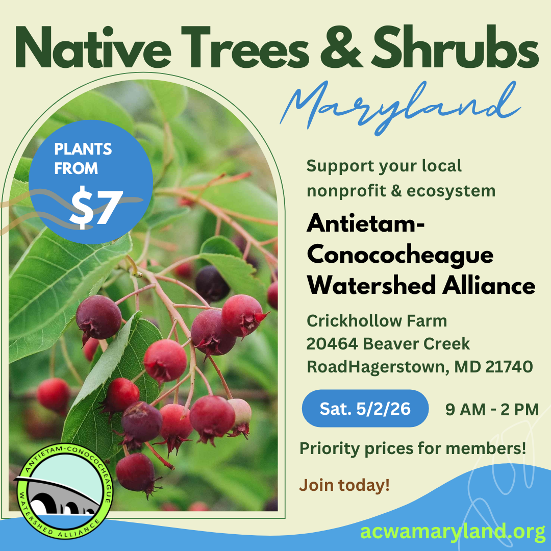 Native Tree &amp; Shrub Sale Fundraiser