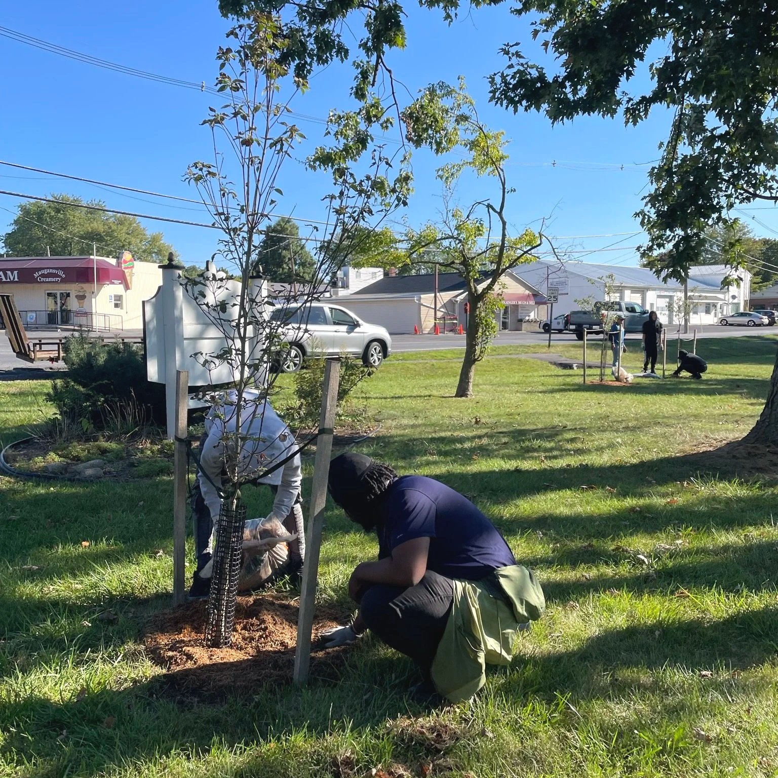 Tree Planting at Leitersburg Ruritan Park