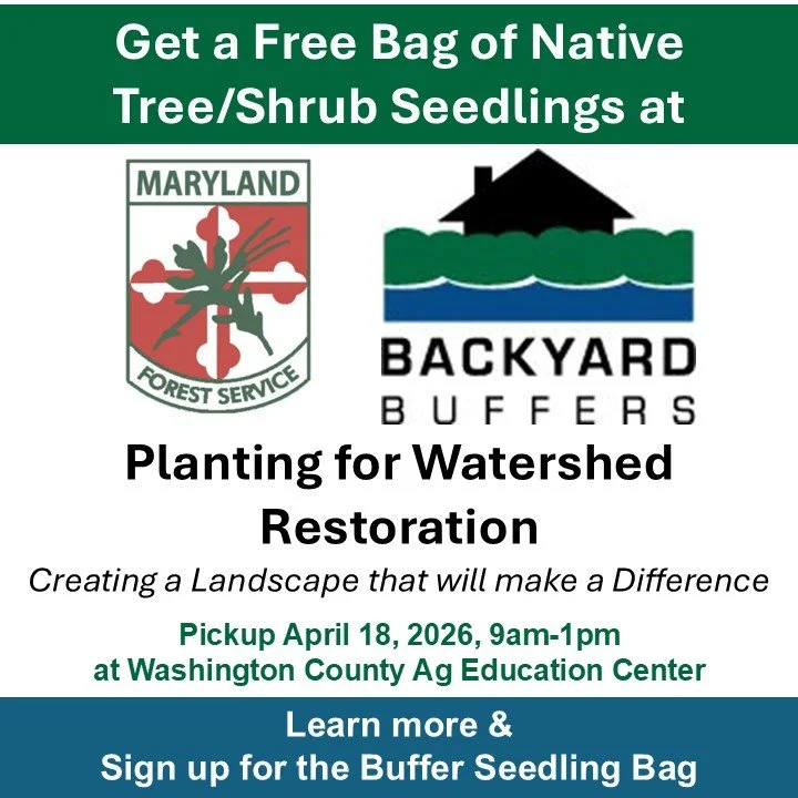 Backyard Buffer Workshop