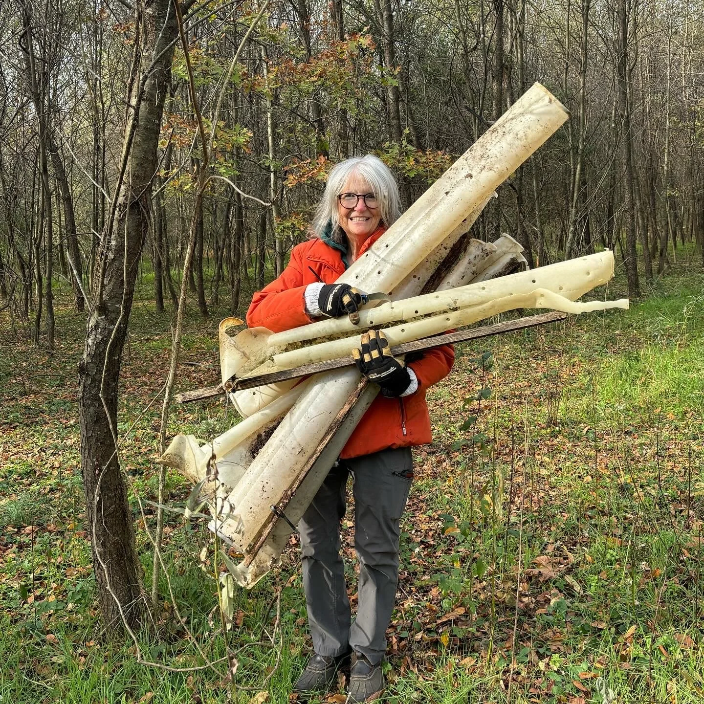 Tree Tube Maintenance near Hagerstown