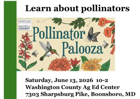 Pollinator Palooza