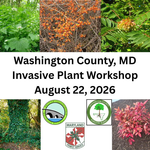 Invasive Plant Workshop Fall 2026
