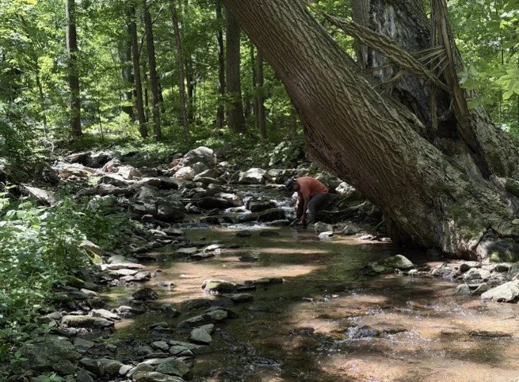 National Water Quality Month: what it means locally