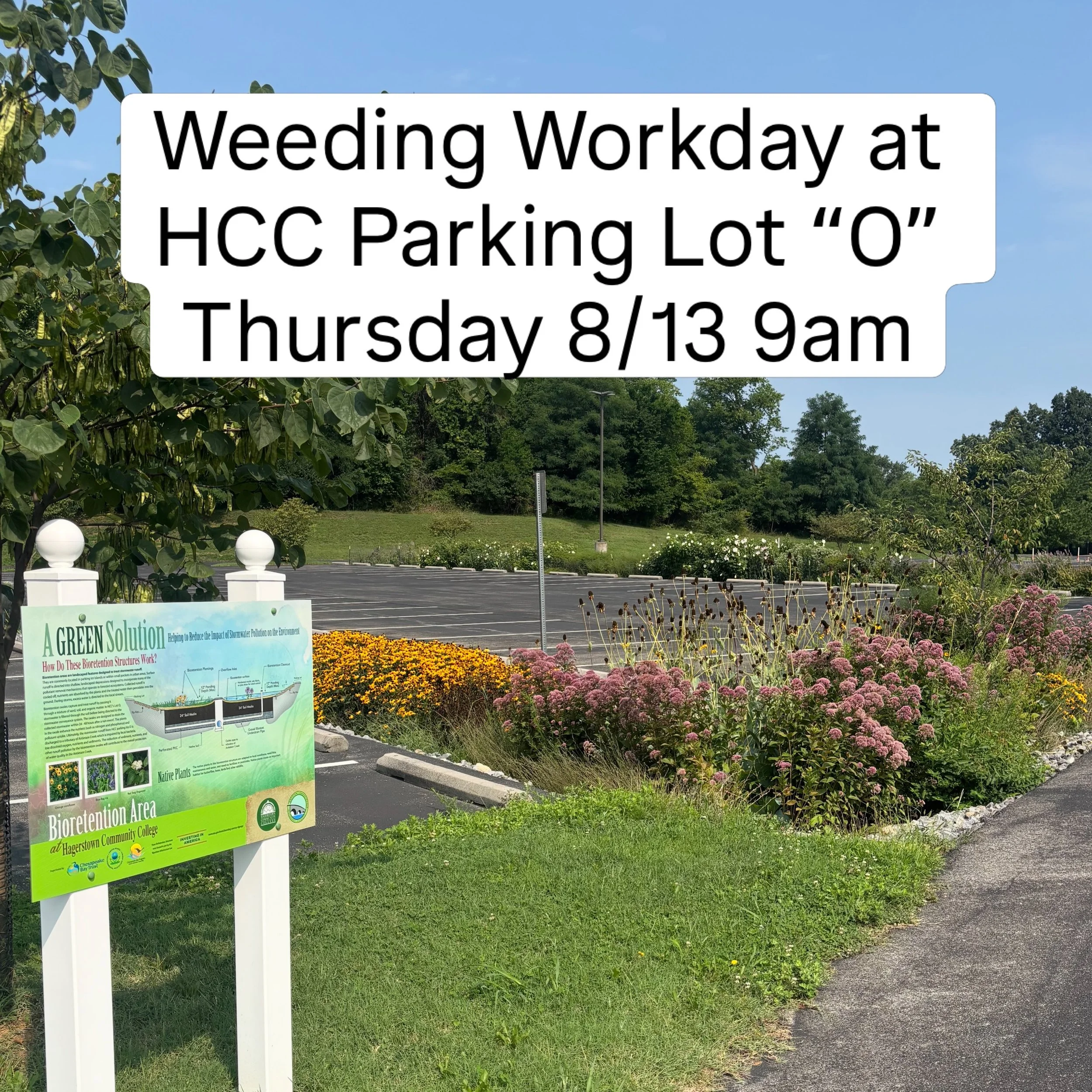 Weeding Workday at HCC Bioswales