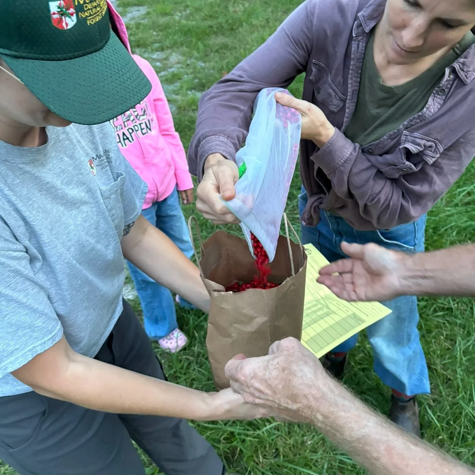 Spicebush seed collection &amp; social