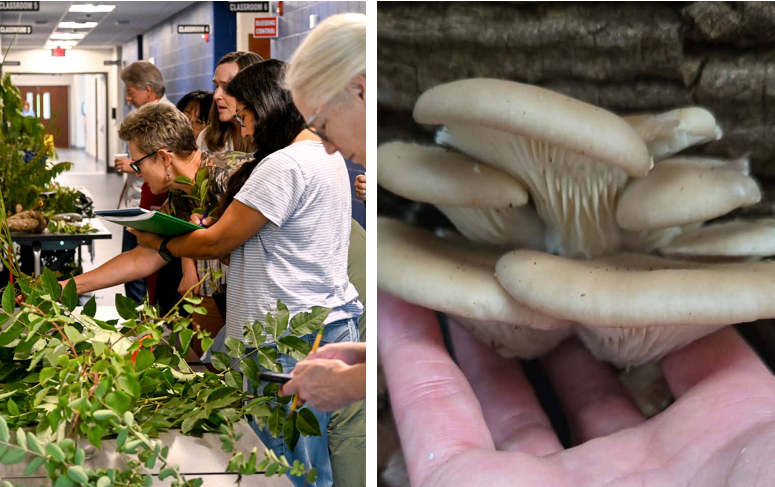 Two Fall Workshops Scheduled!