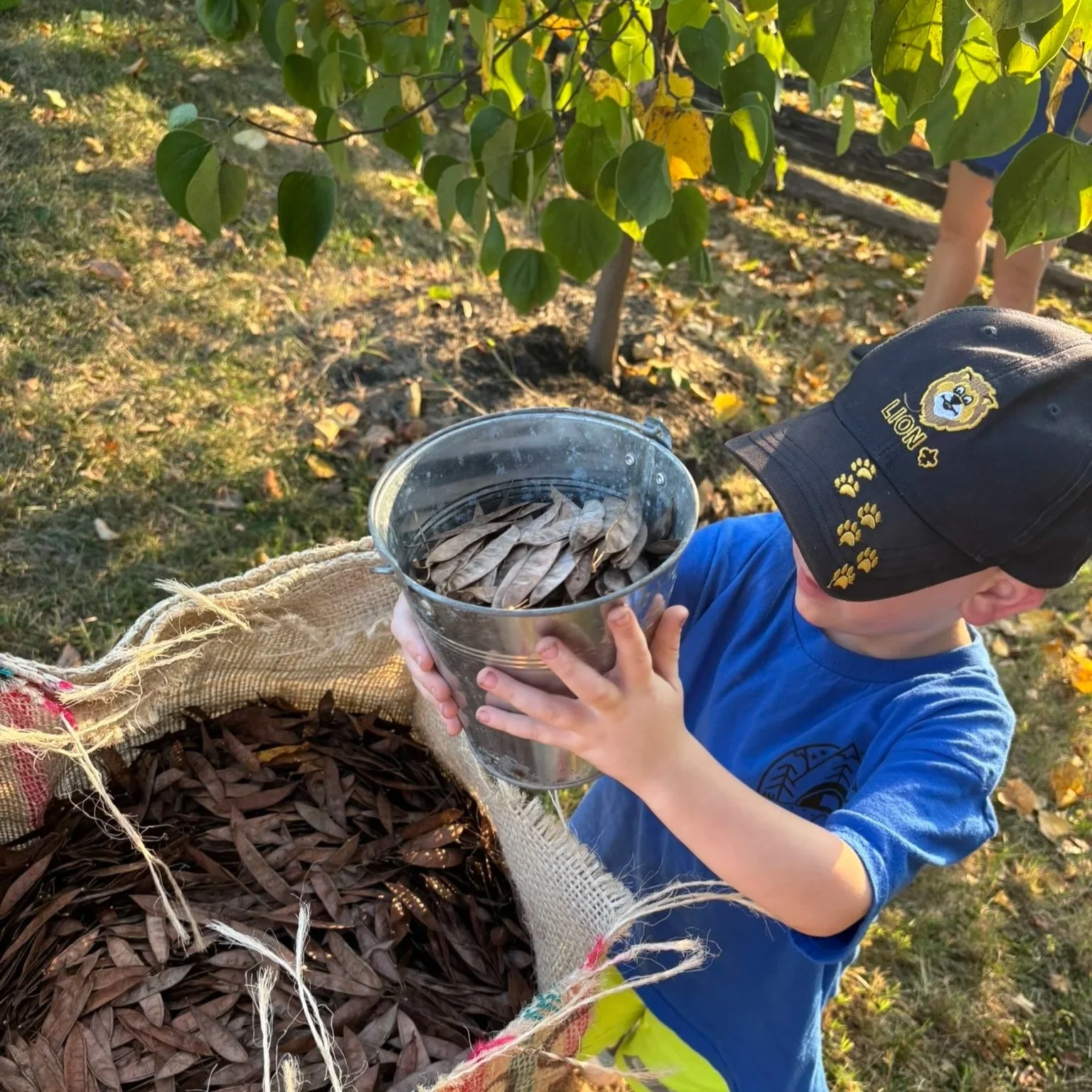 Redbud Seed Group Collection Event with Scout Pack 252