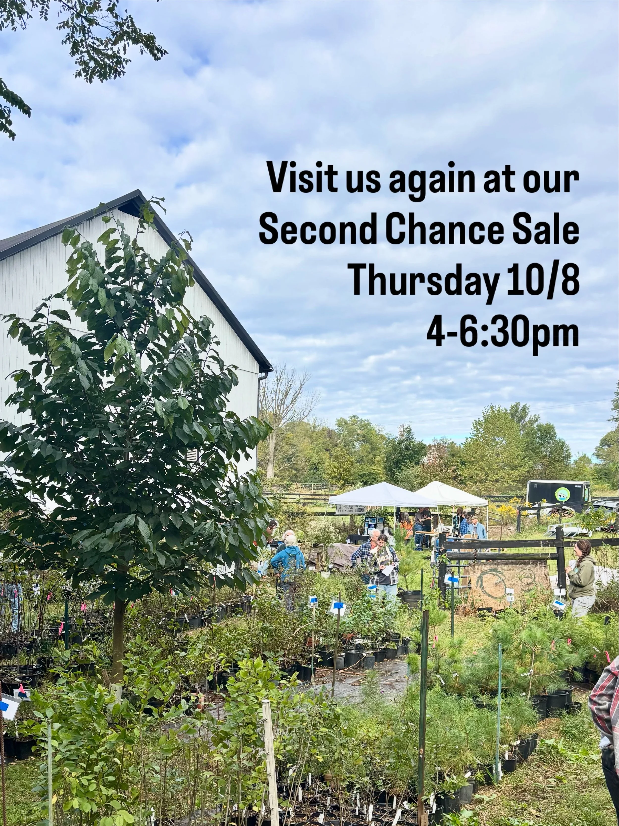 2nd Chance ACWA Nursery Sale