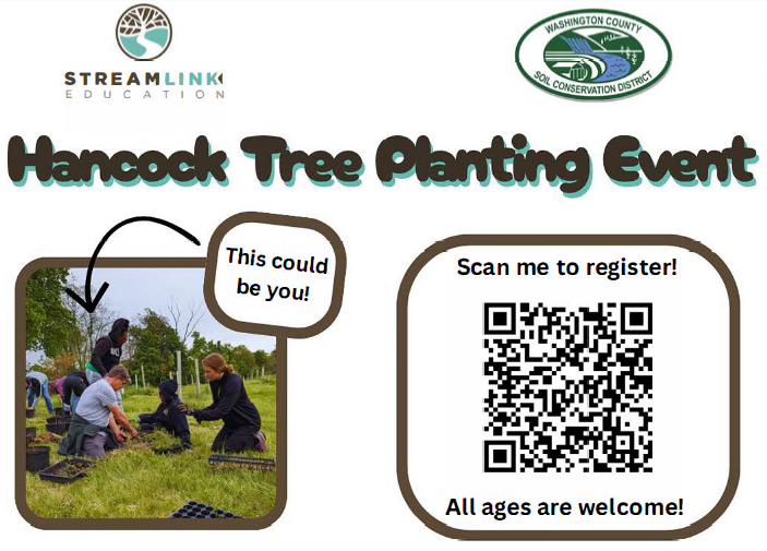 Tree Planting with WashCo Soil Conservation in Hancock 