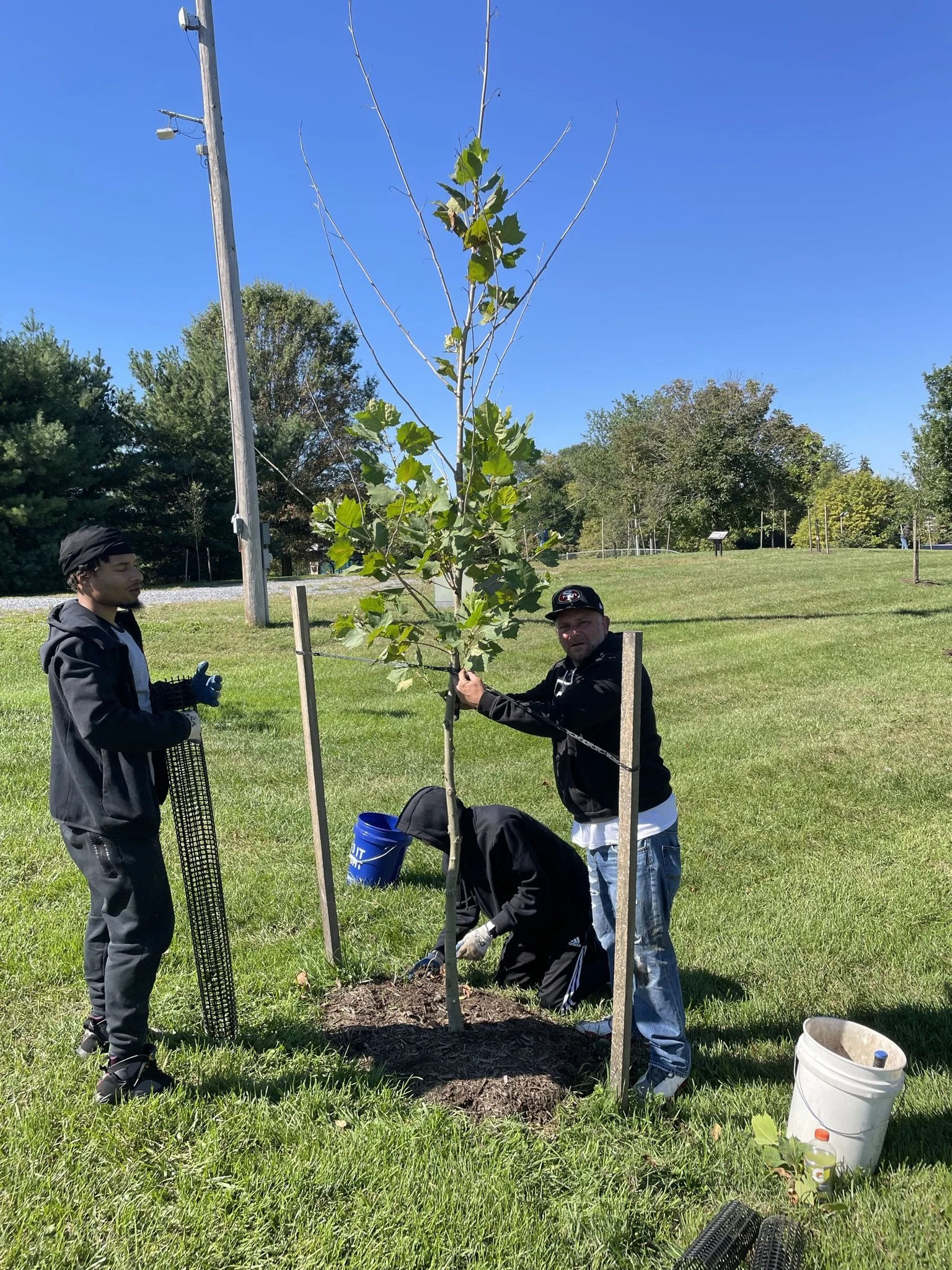 Volunteer Tree planting in Smithsburg