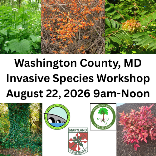 Invasive Plant Species Workshop Fall 2026