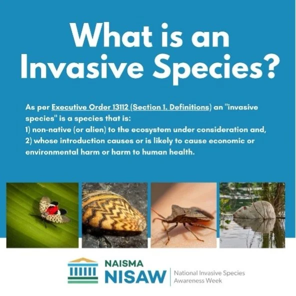 Define Invasive New Page — Antietam-Conococheague Watershed Alliance