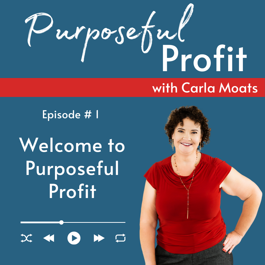 Episode 1: Welcome to Purposeful Profit