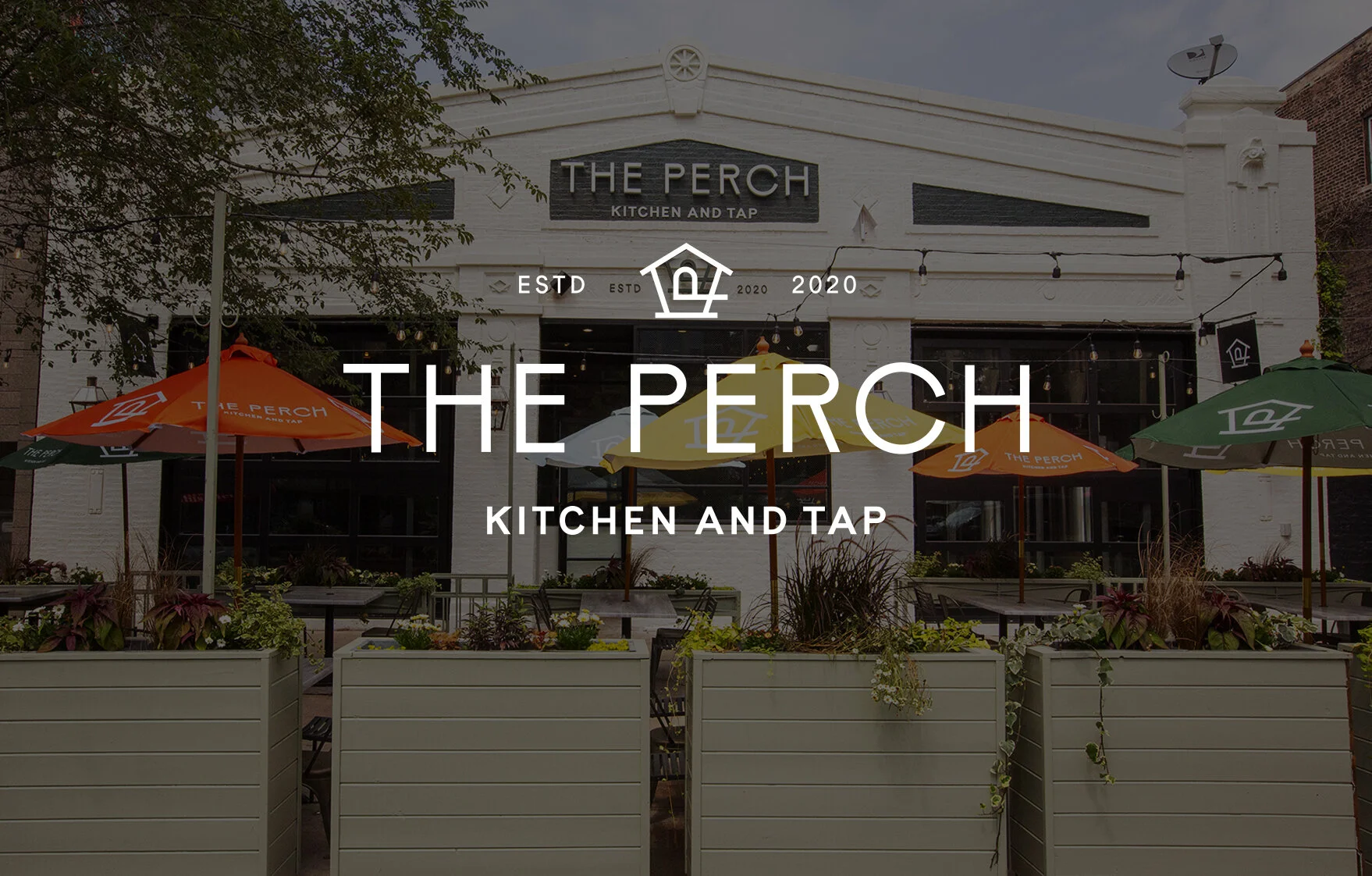 finch-Perch.jpg