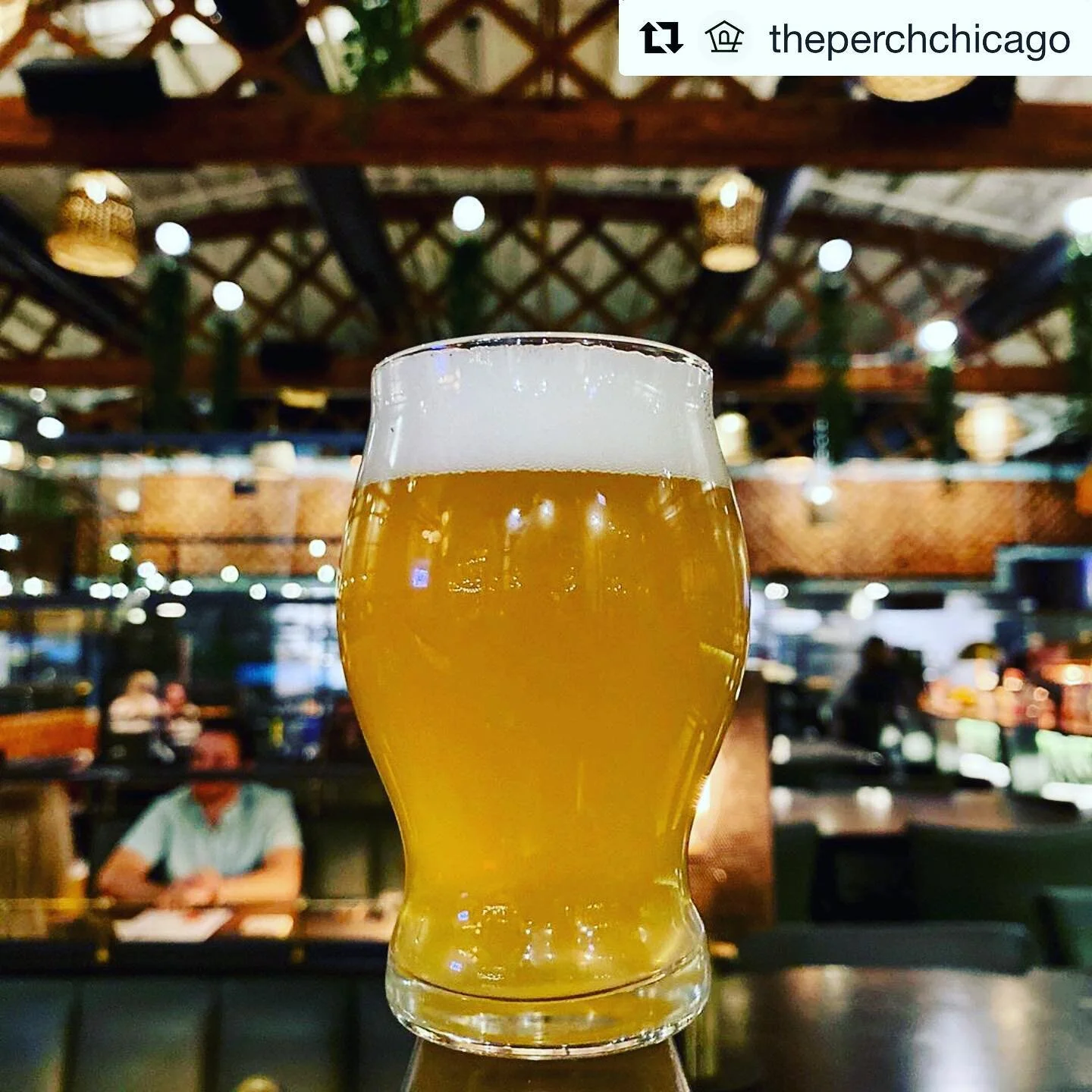 Finch Beer Co. Chicago Craft Beer Brewery