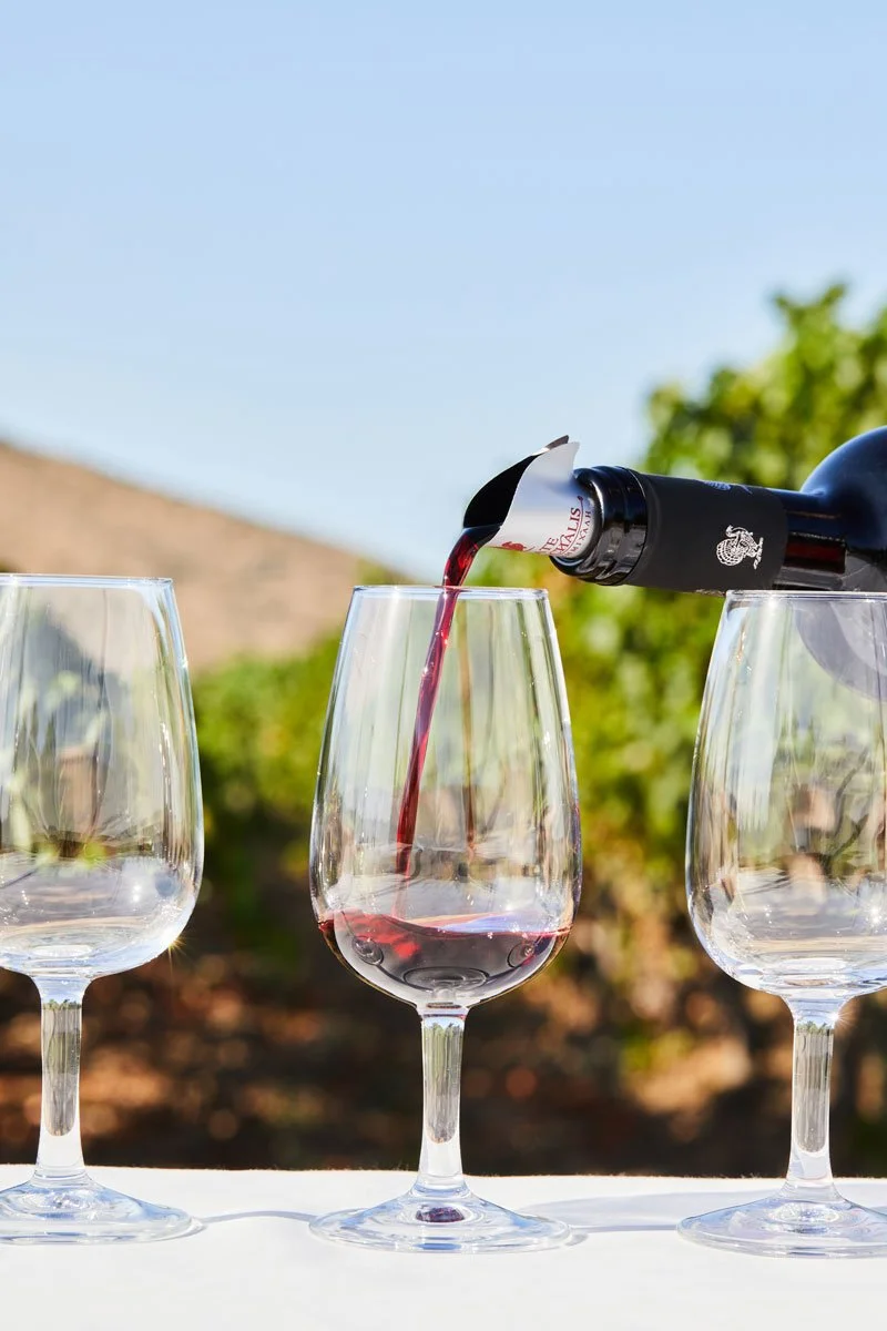 Wine tasting event at our winery and vineyard in Greece