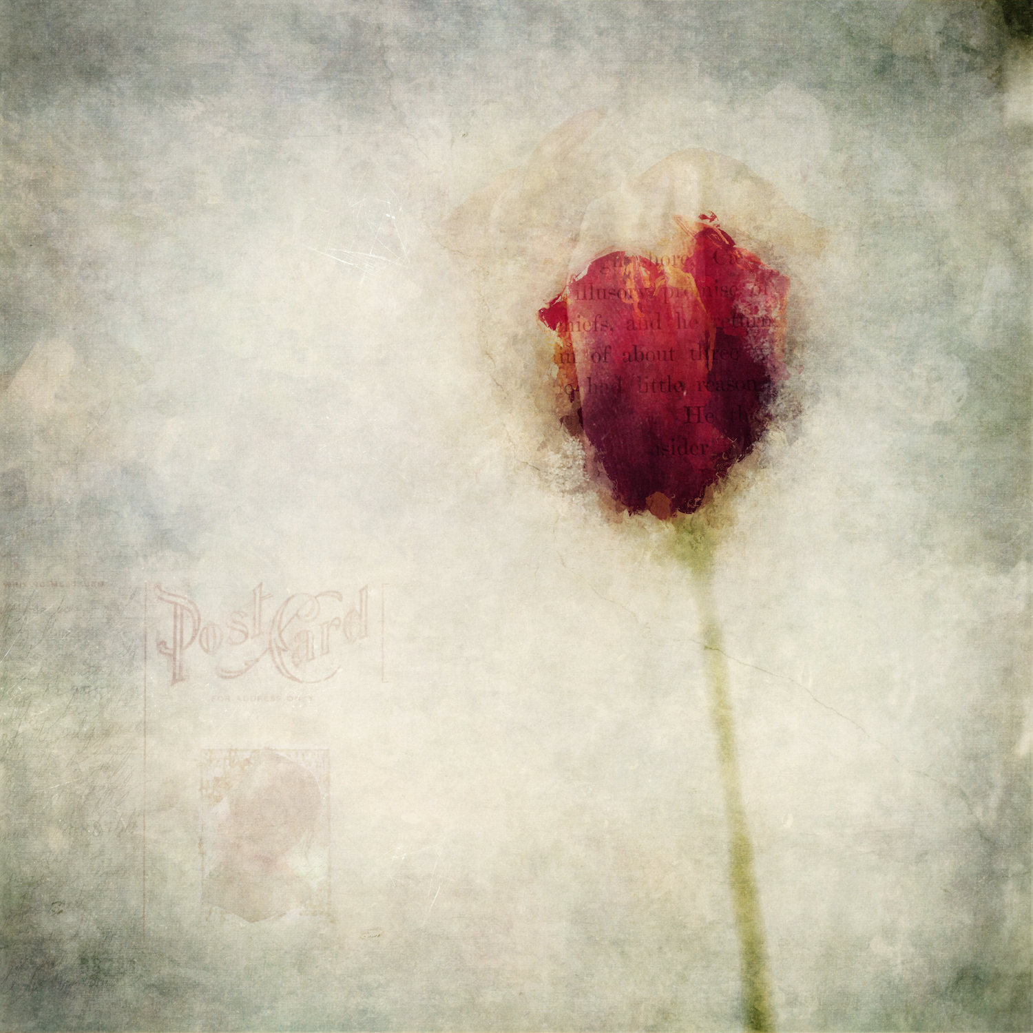 I Thought I Missed You