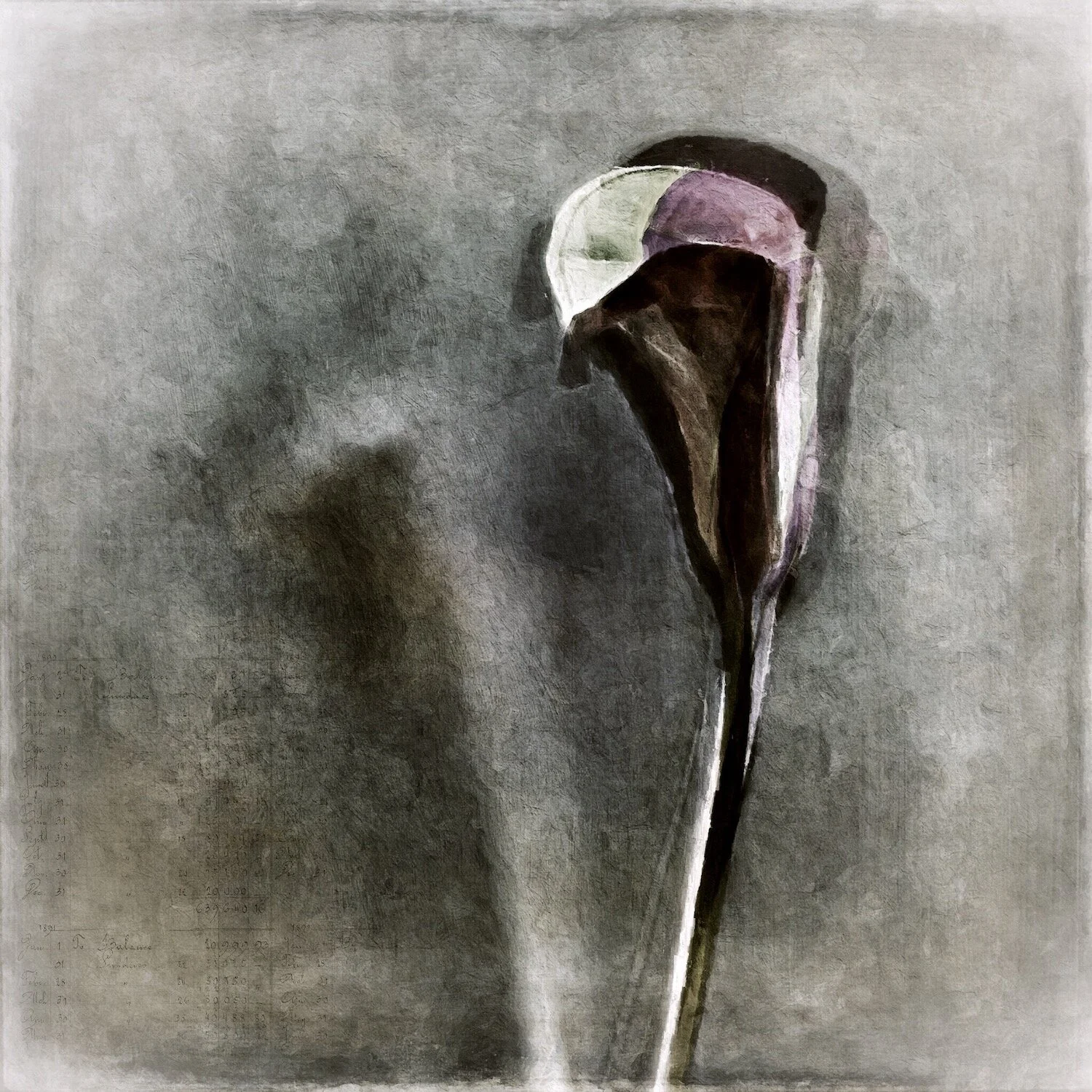 While We Were Sleeping