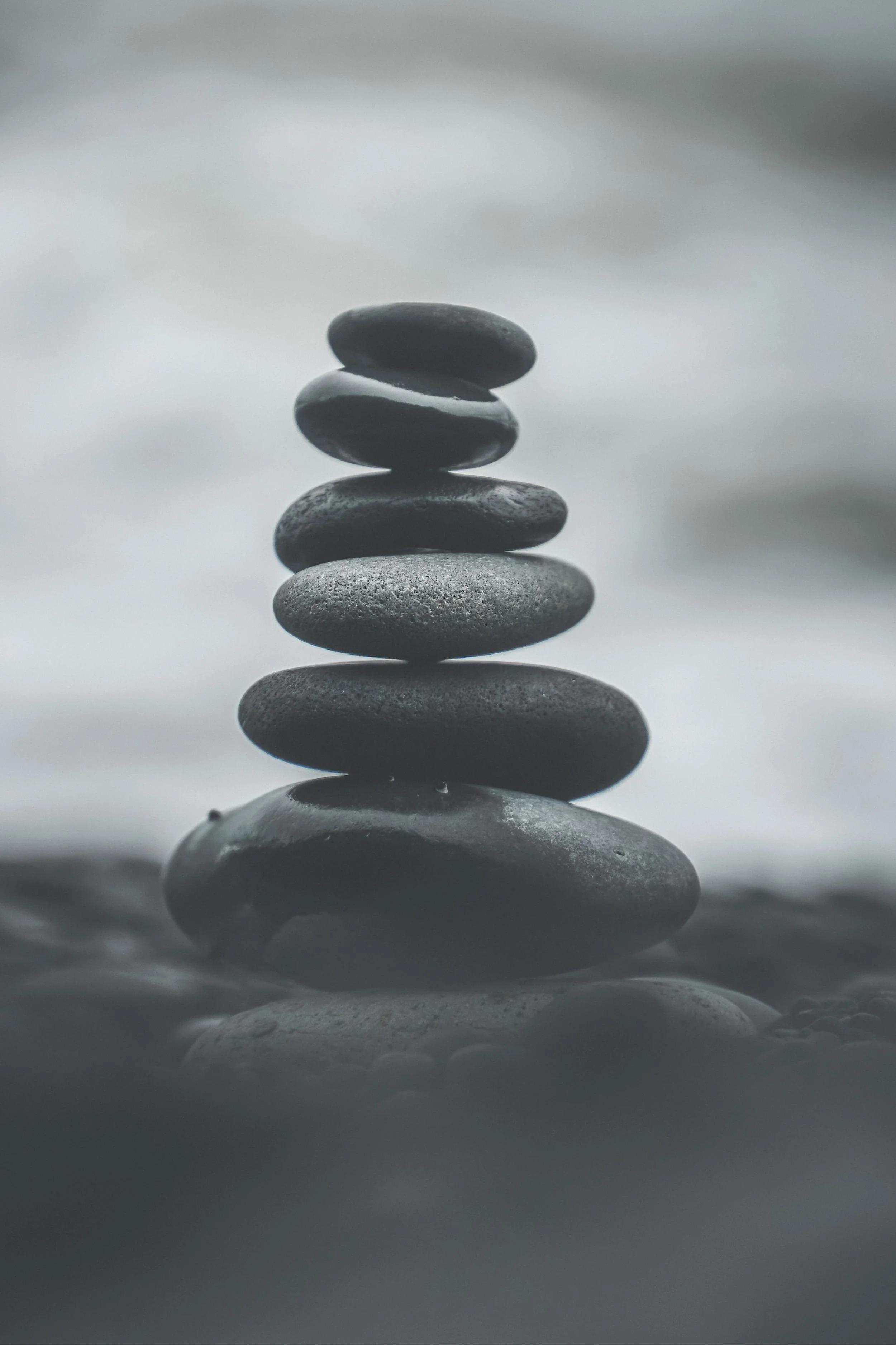 Peerless Leadership consulting firm