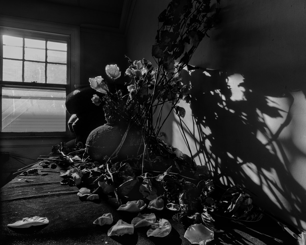 Barbara Lewin_Living in the bardo14.jpg