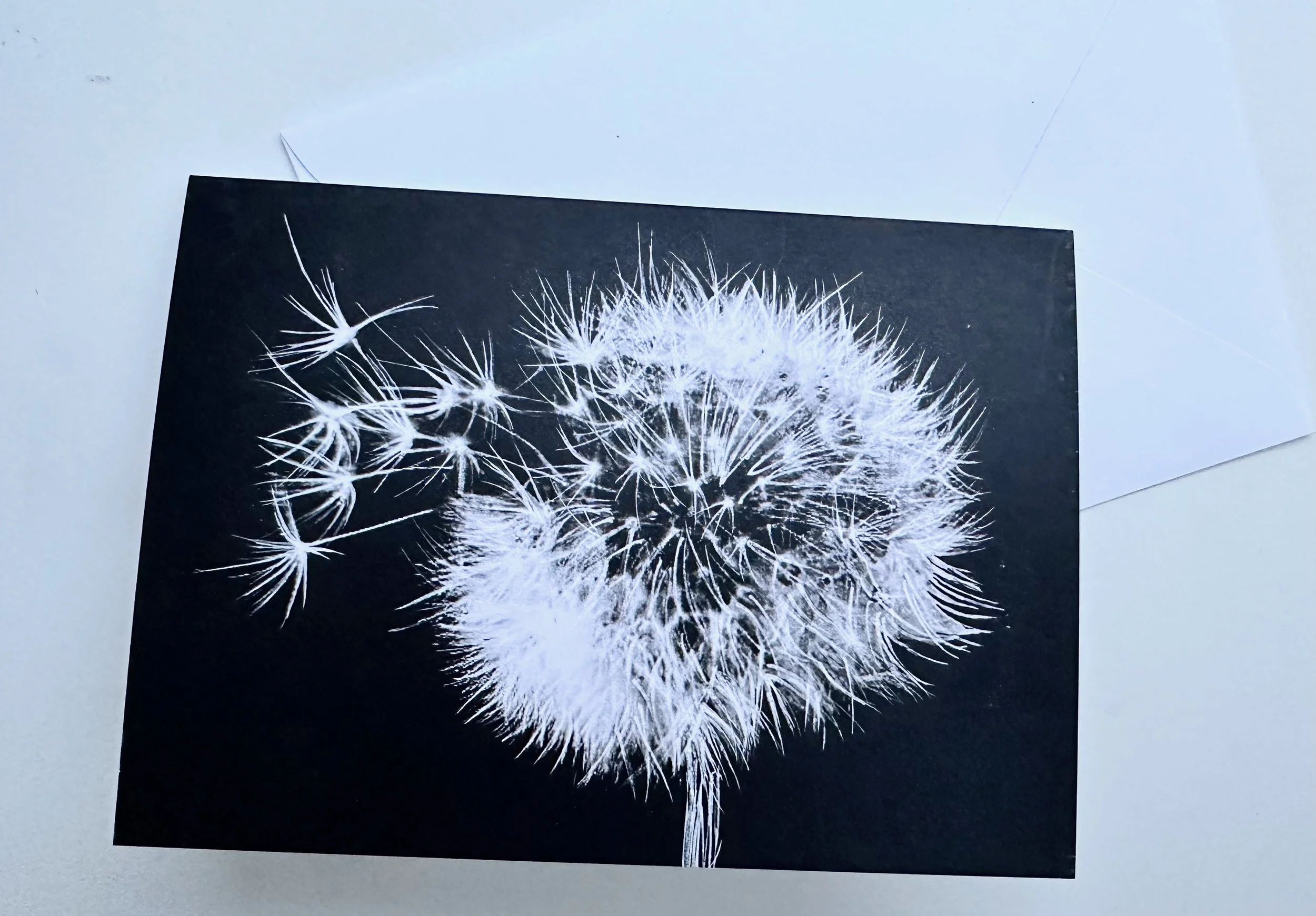 card dandelion clock.jpeg