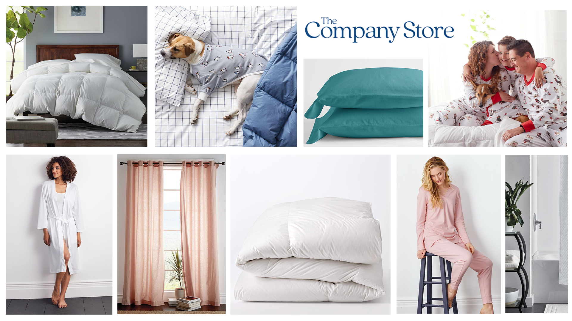 The Company Store Graphic 2.png