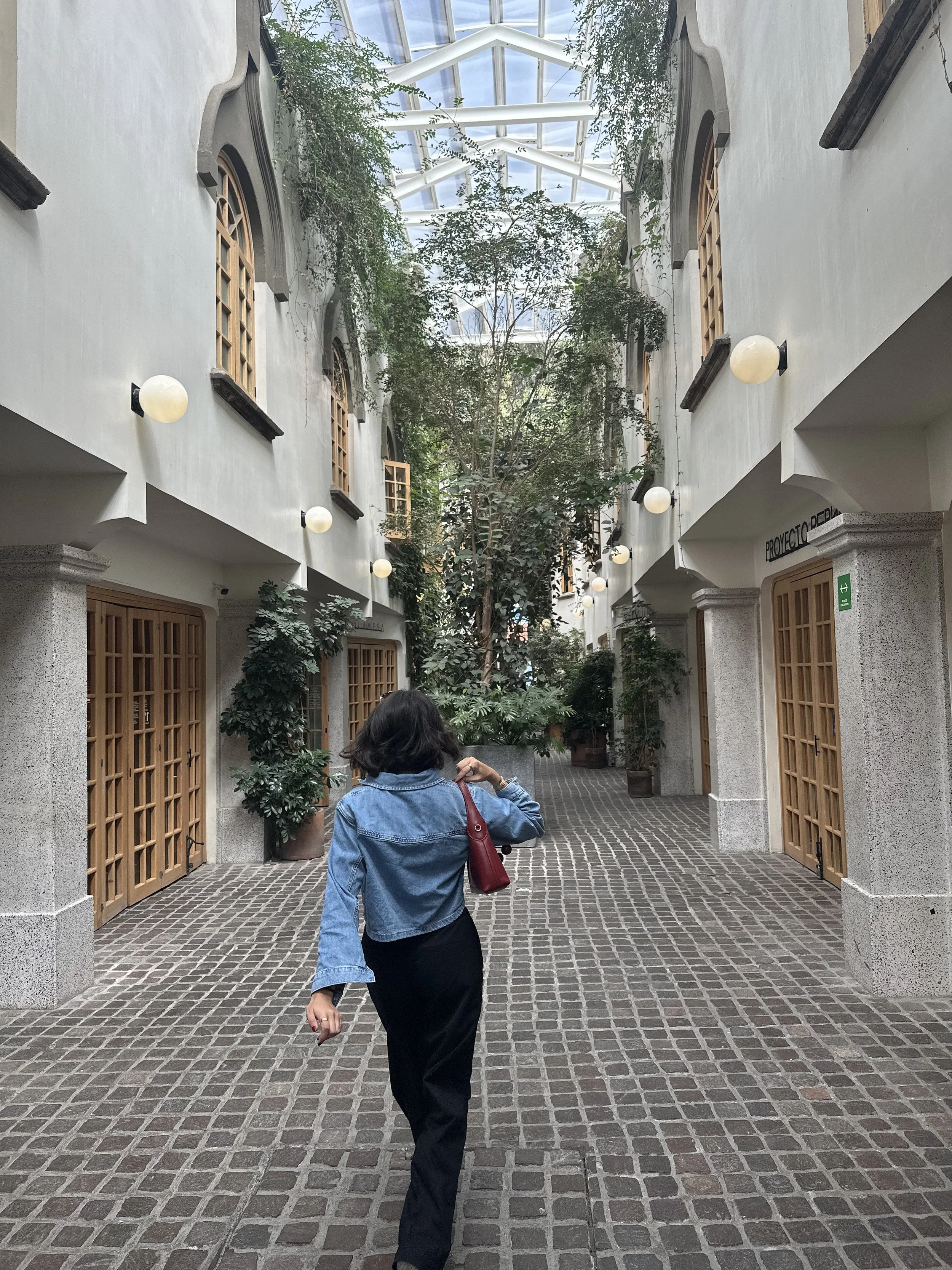 Pasaje Parián, Roma Norte CDMX