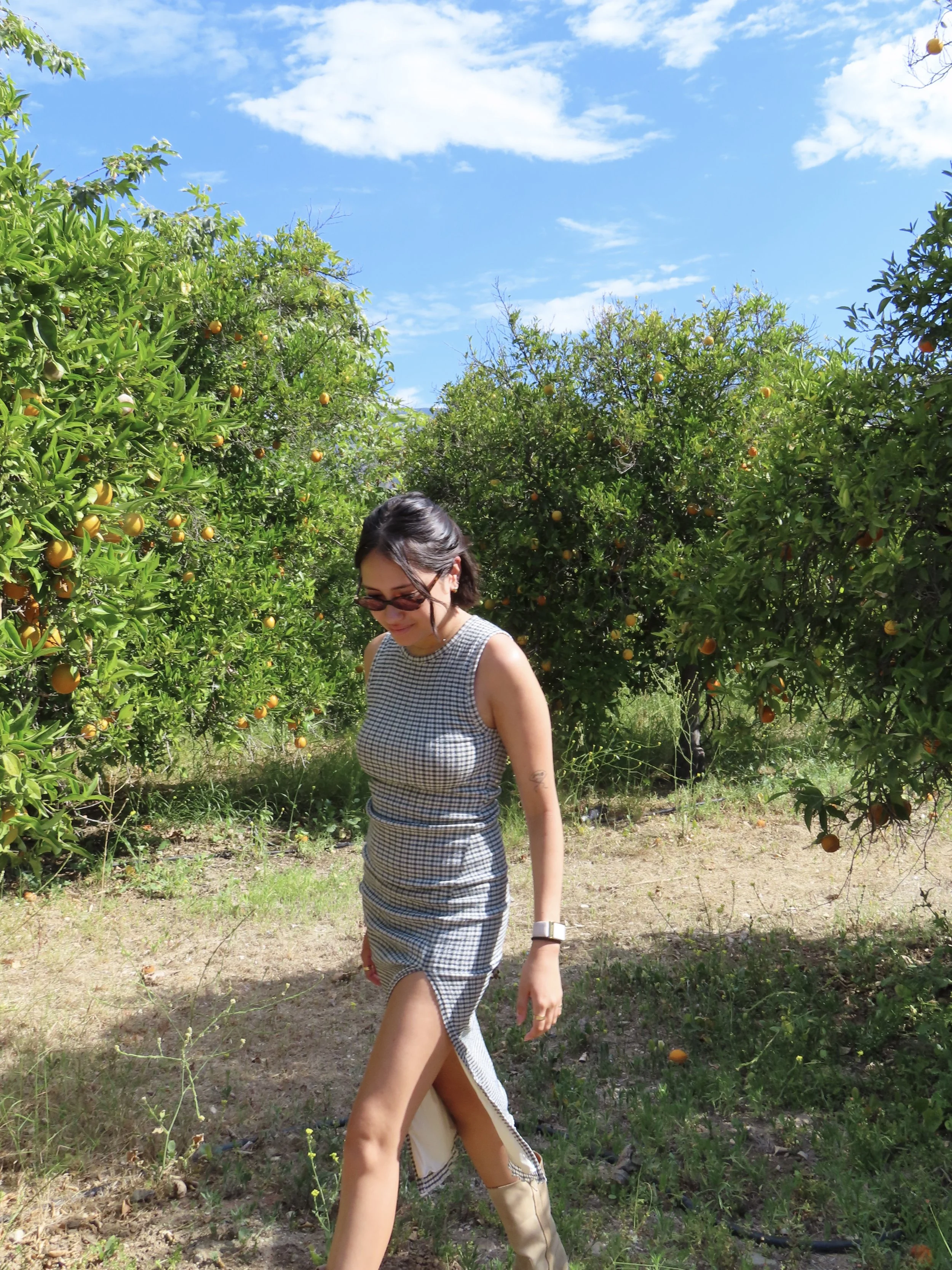 Orage Groves in Ojai, CA