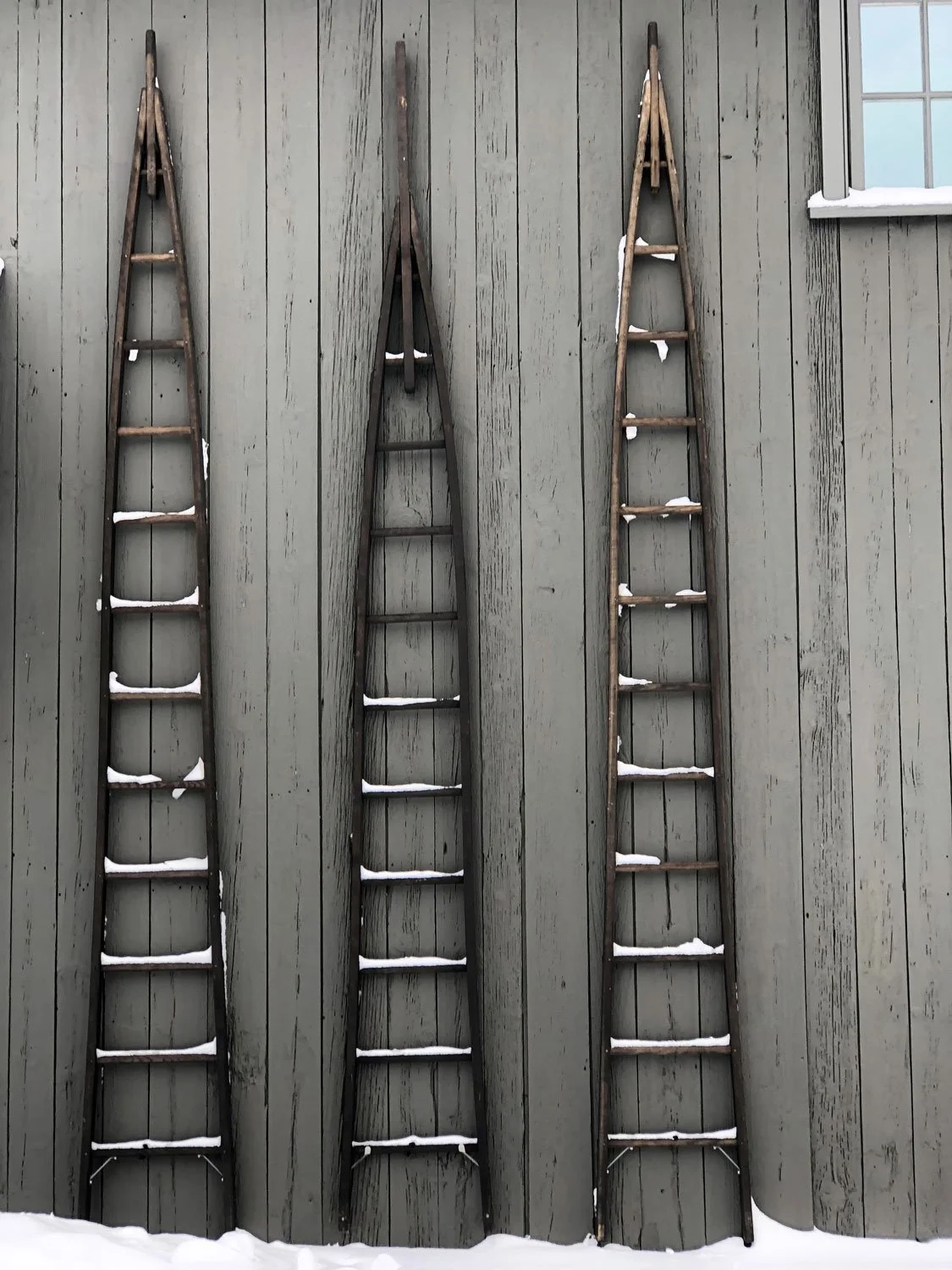 IMG_9059laddersnow.jpg