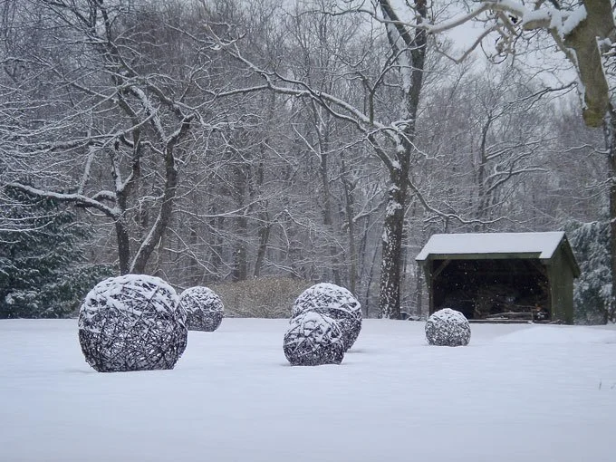 DSC00402winter.jpg