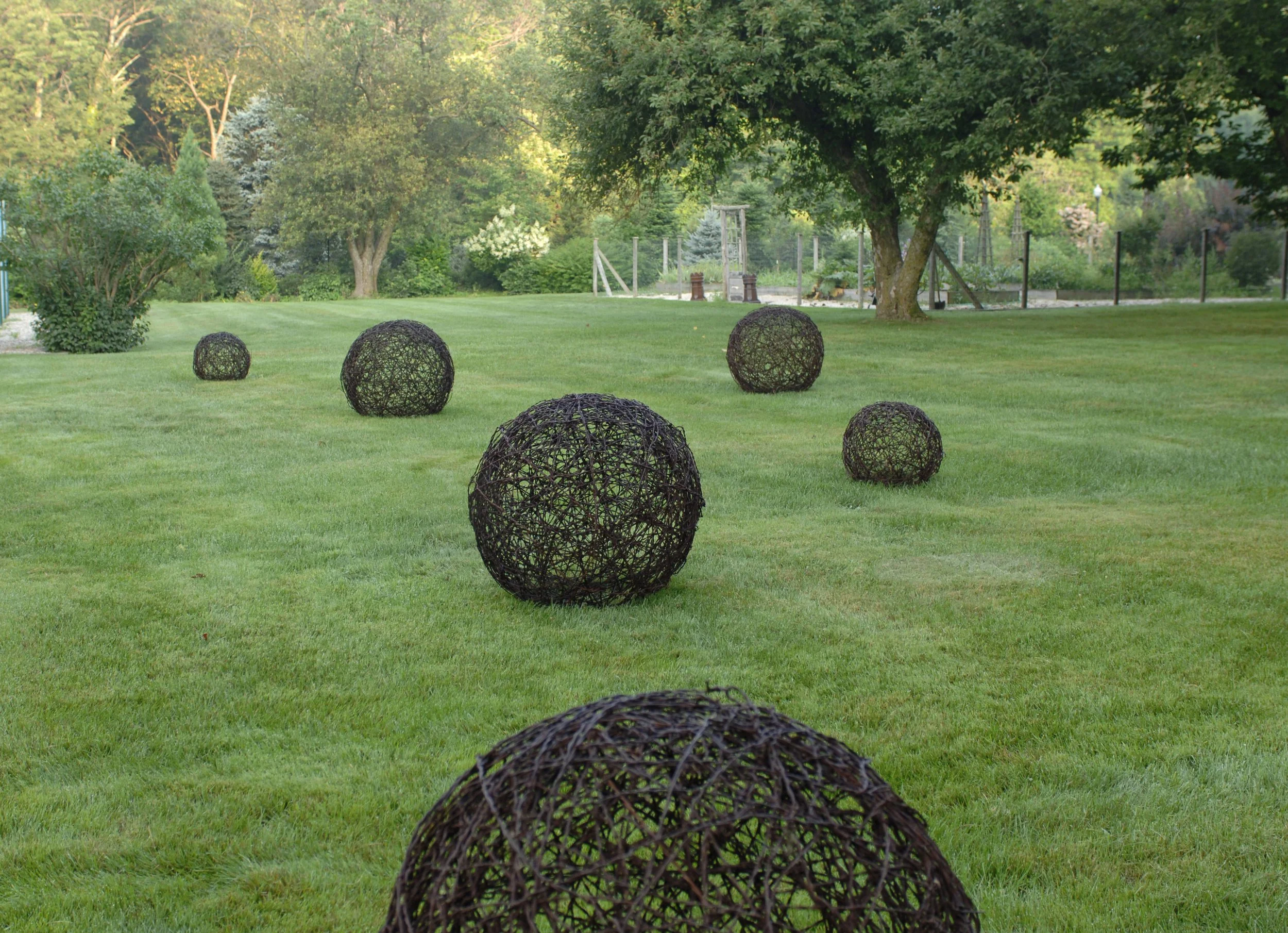 meadow6.jpg