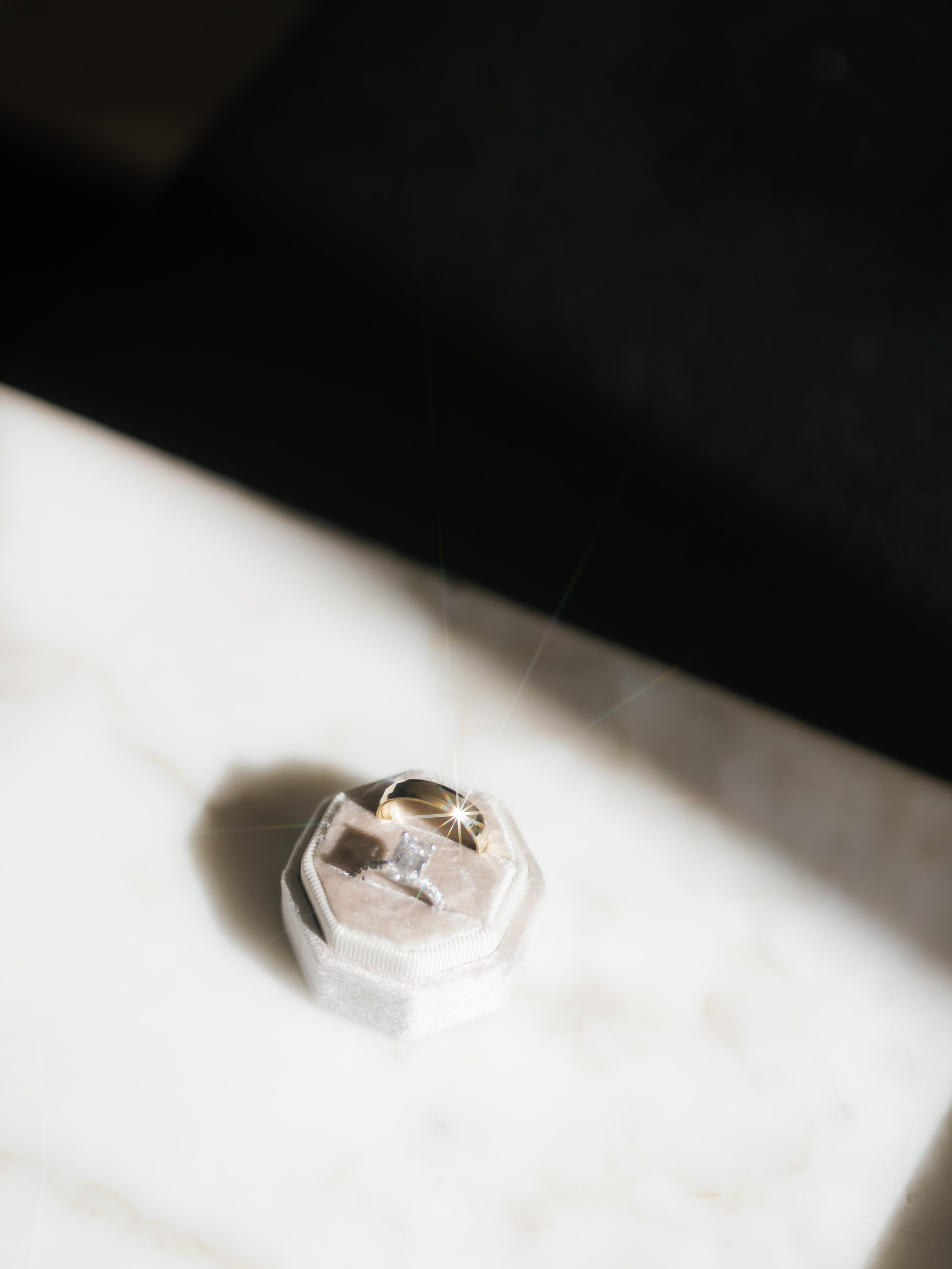 4N5A7531.jpg