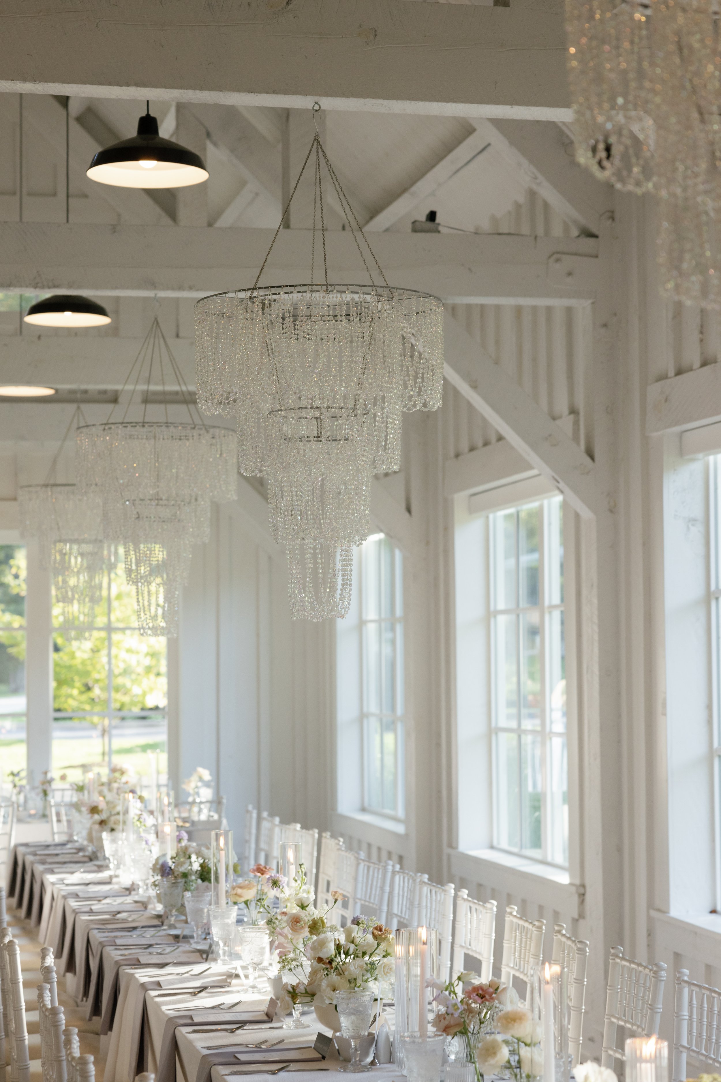 TriciaMillerPhotography-354.jpg