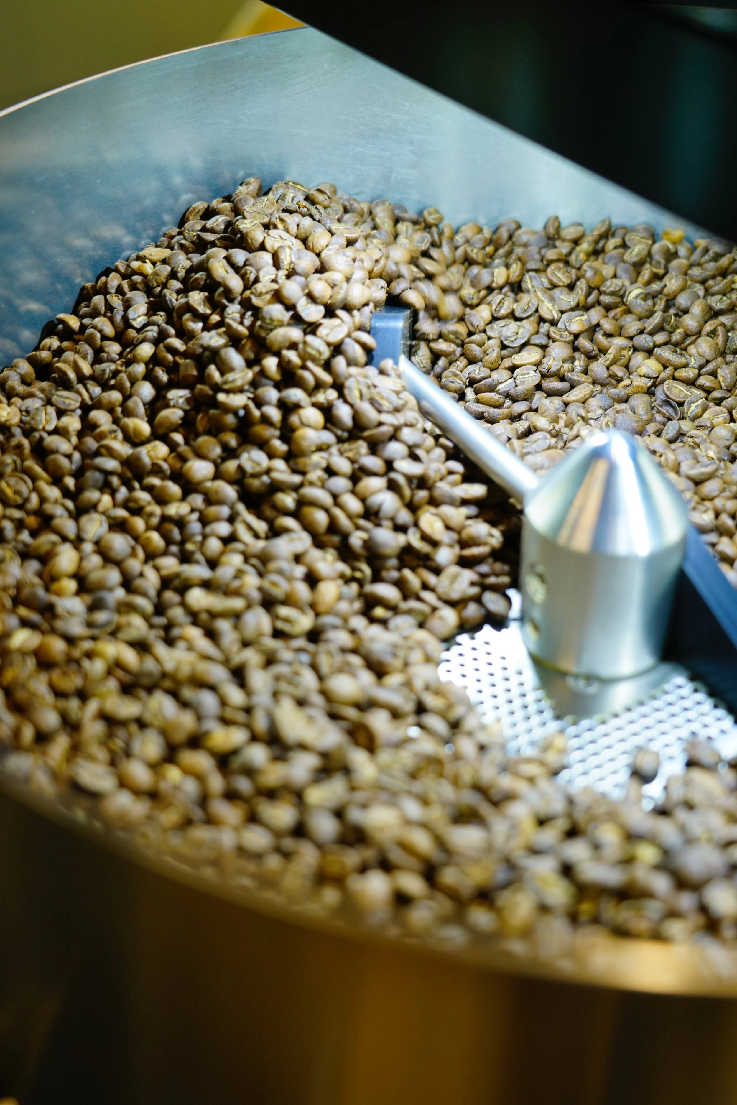 Close-up of roasted coffee beans in the cooling tray with the machine arm moving them round in a circle.